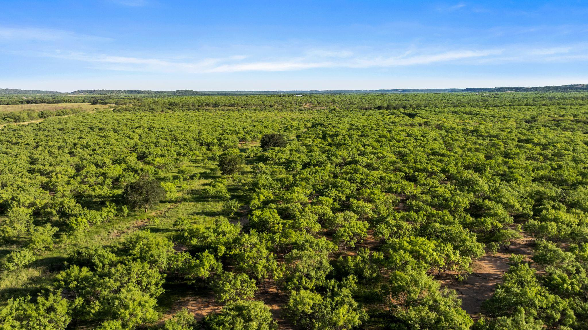 2186 Fm 1028, Rochelle, TX 76872