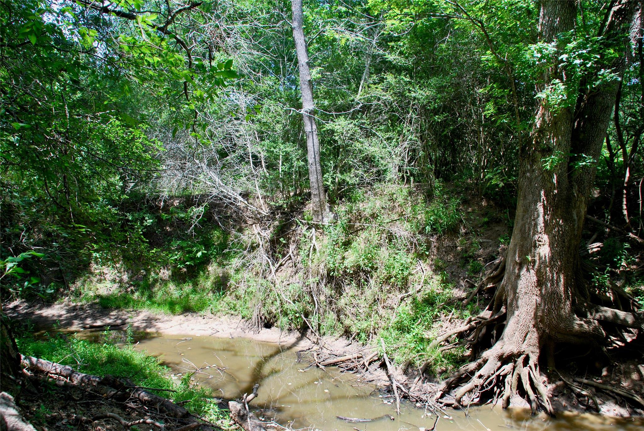 TBD CR 420, Waelder, TX 78959