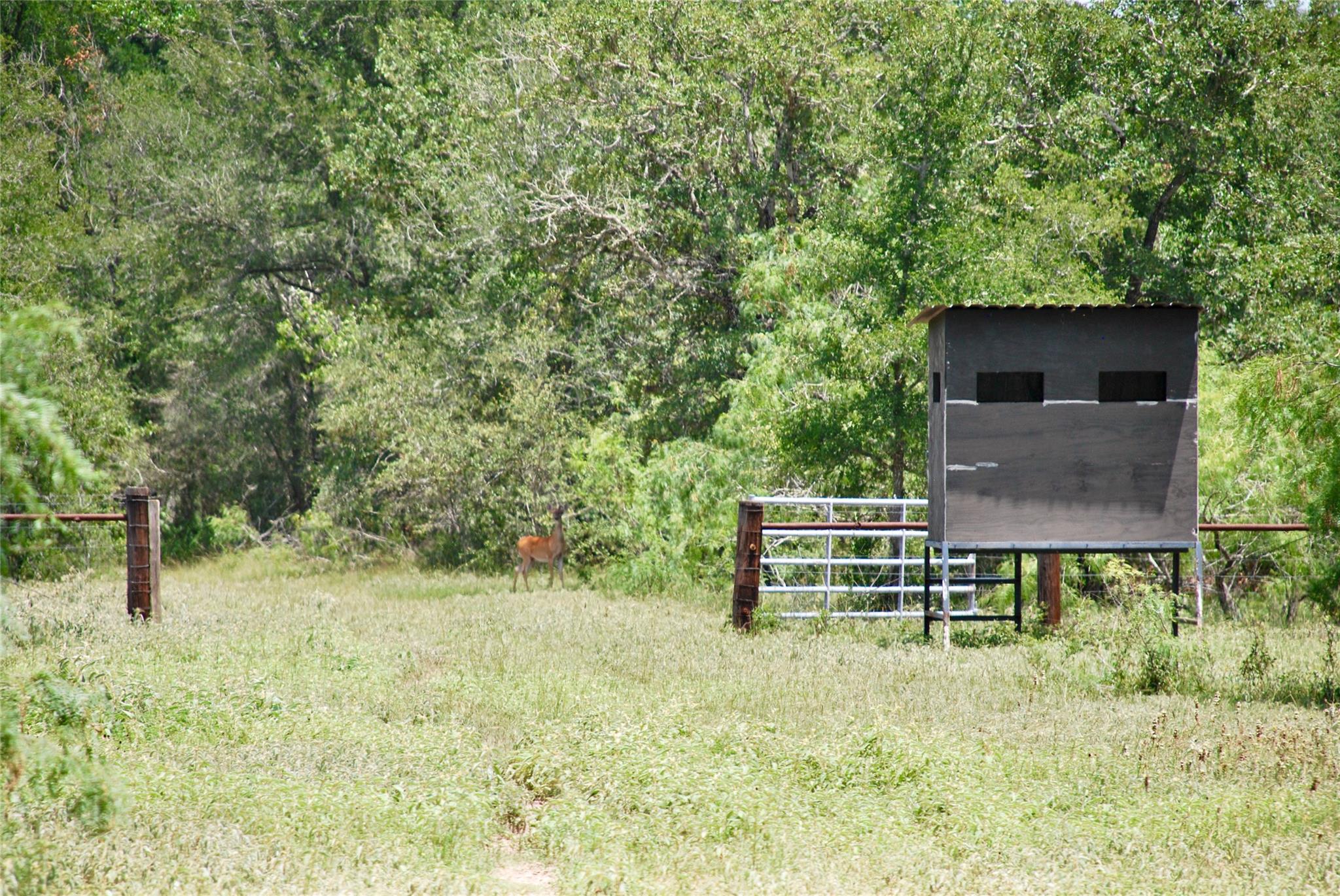 TBD CR 420, Waelder, TX 78959