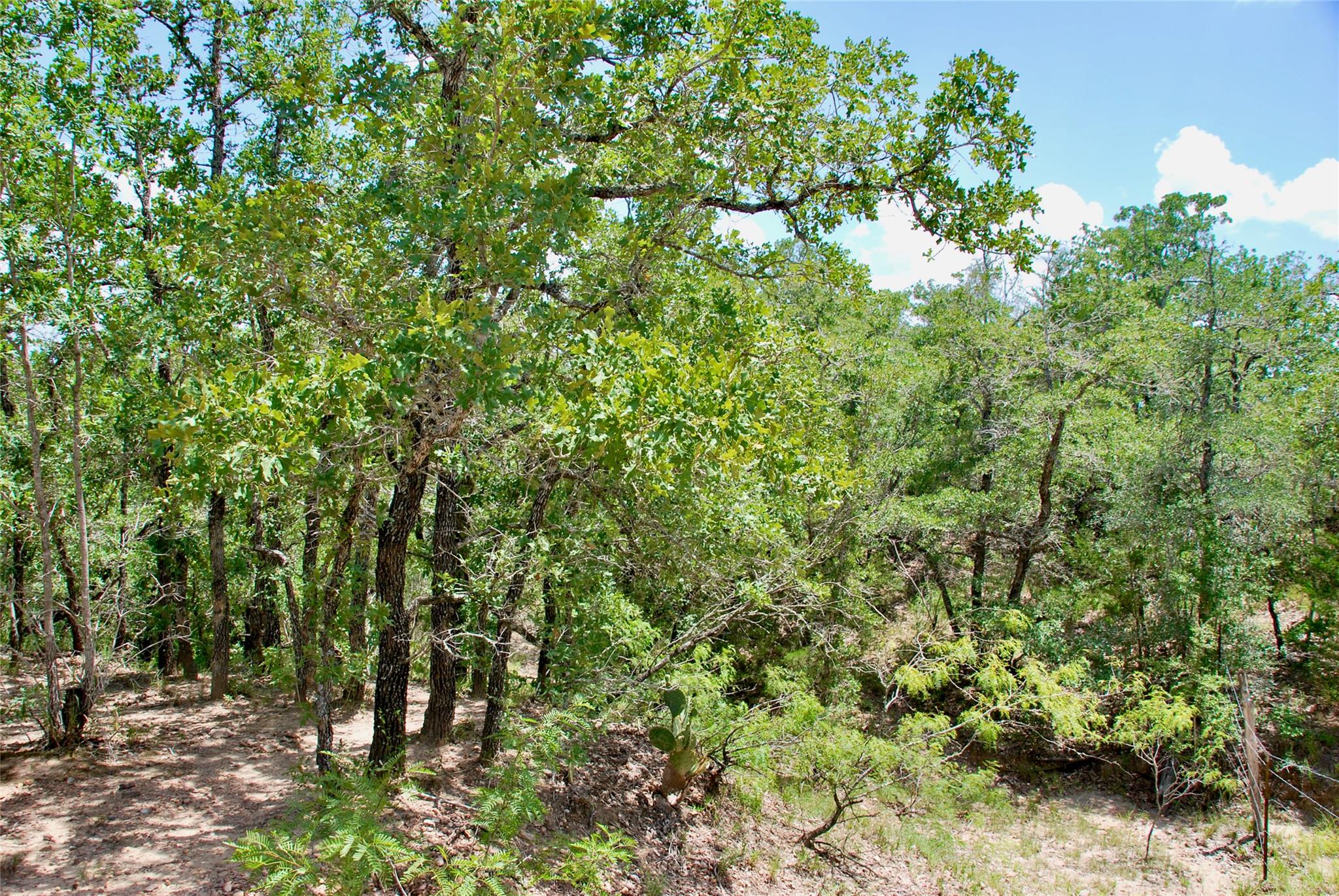 TBD CR 420, Waelder, TX 78959