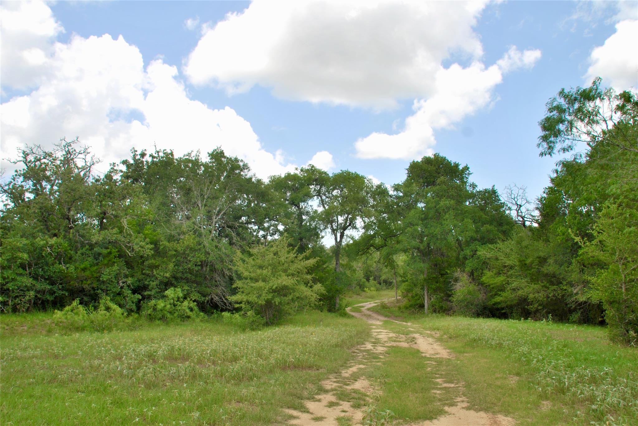 TBD CR 420, Waelder, TX 78959