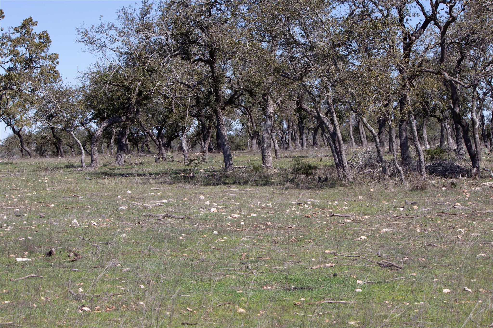 TBD W Starview Cv, Blanco, TX 78606