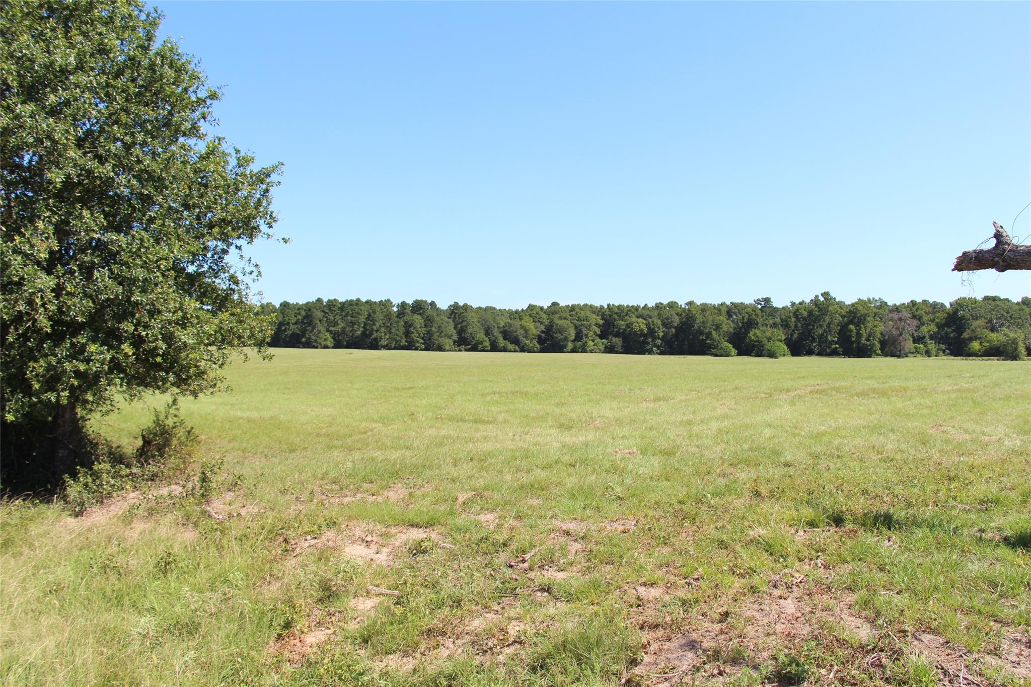 None County Road 3401, Crockett, TX 75851