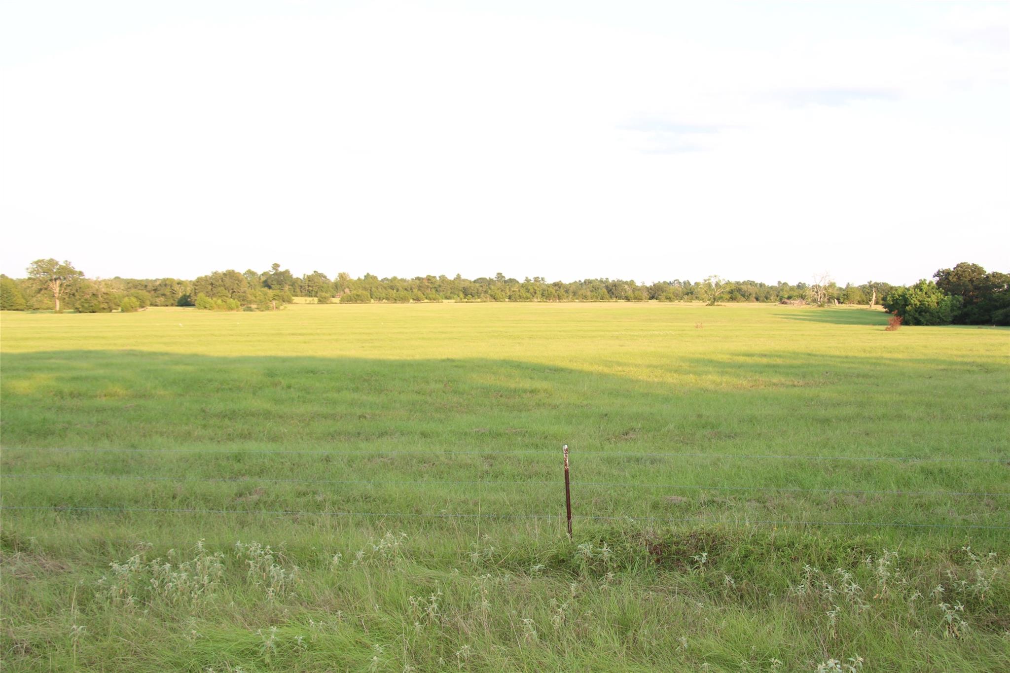 None County Road 3401, Crockett, TX 75851