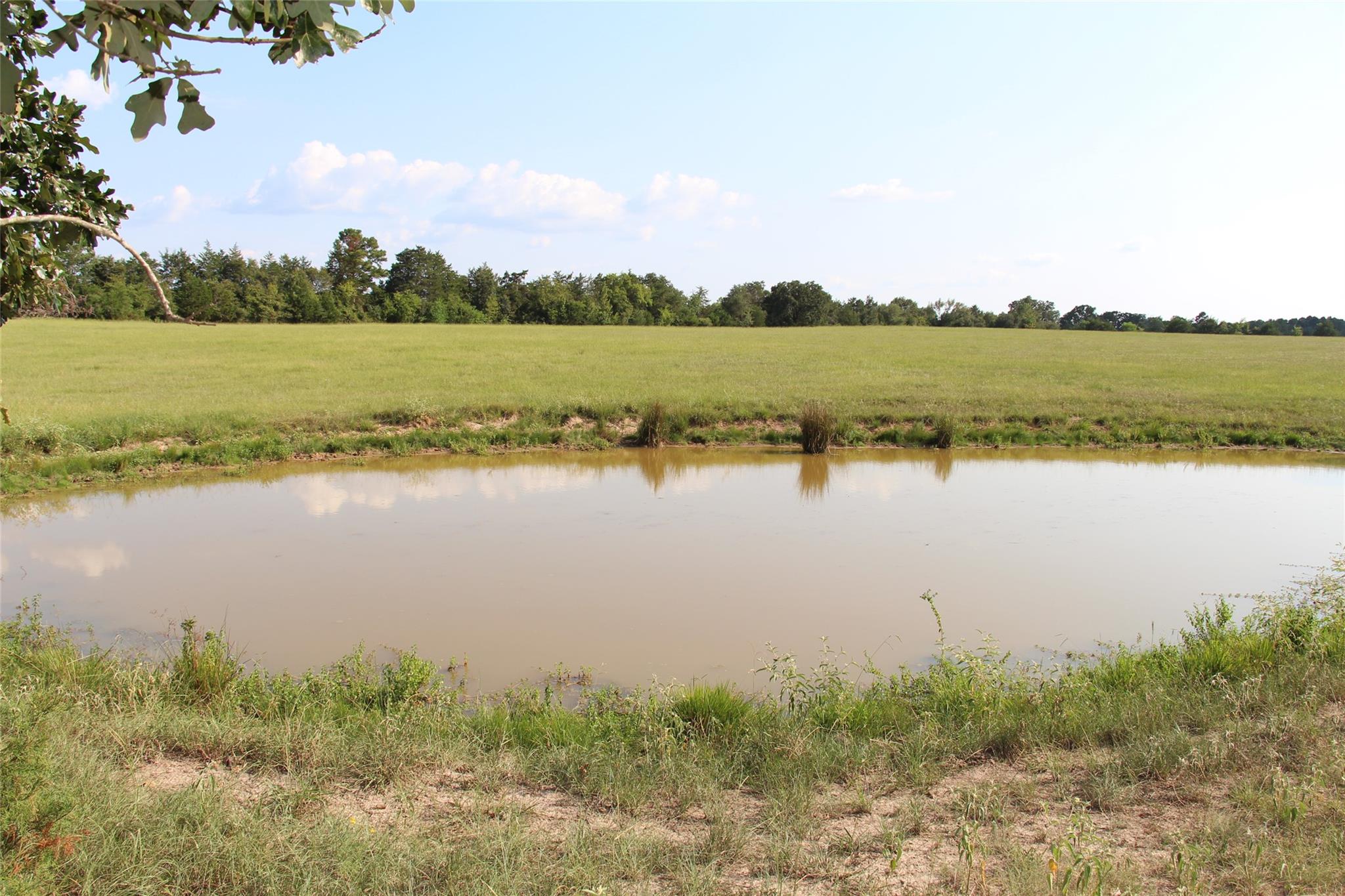 None County Road 3401, Crockett, TX 75851