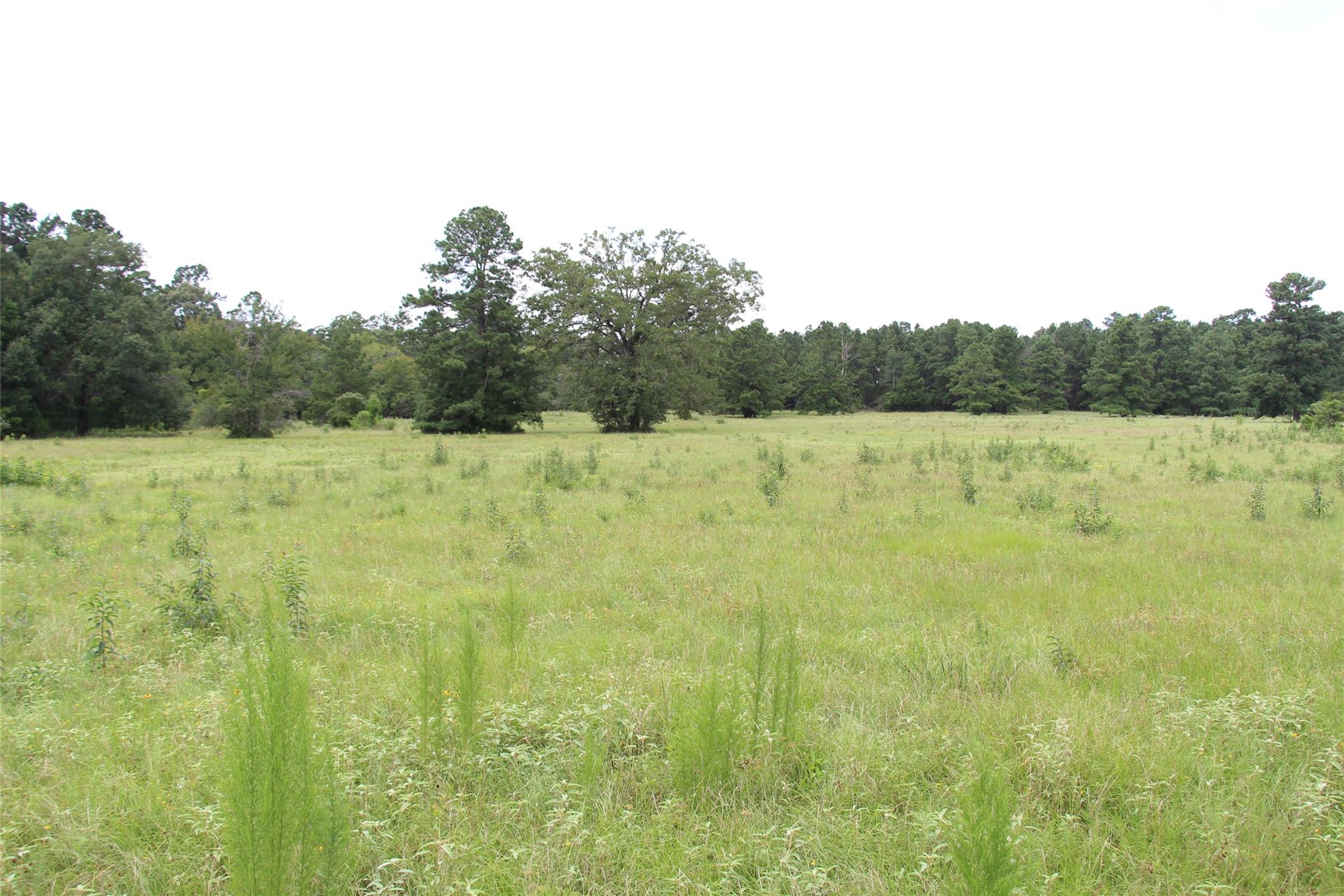 None County Road 3401, Crockett, TX 75851