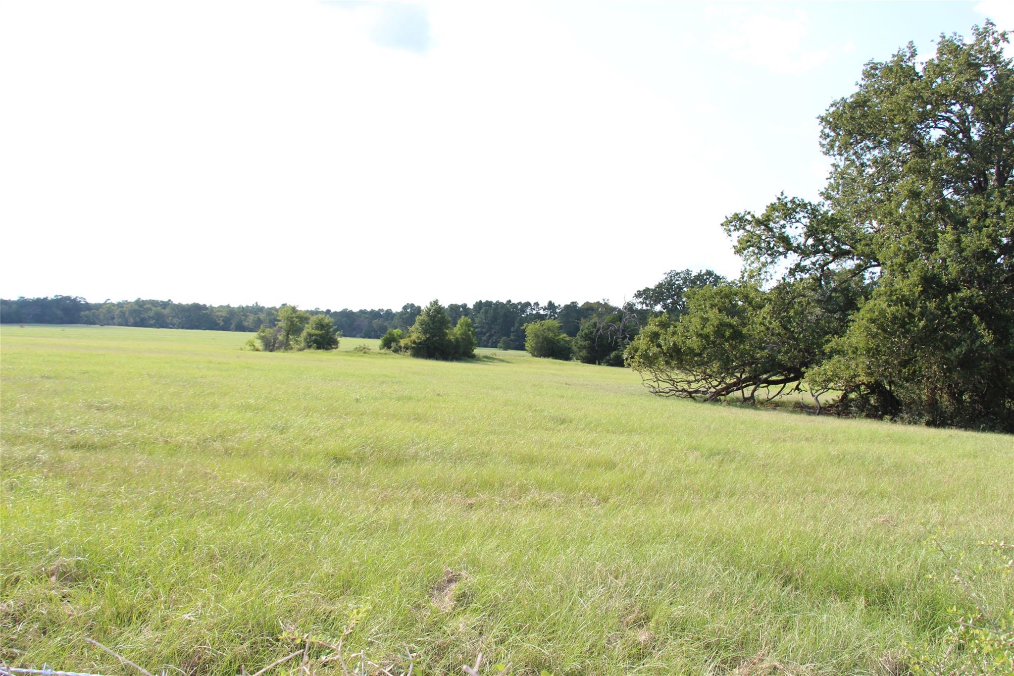 None County Road 3401, Crockett, TX 75851