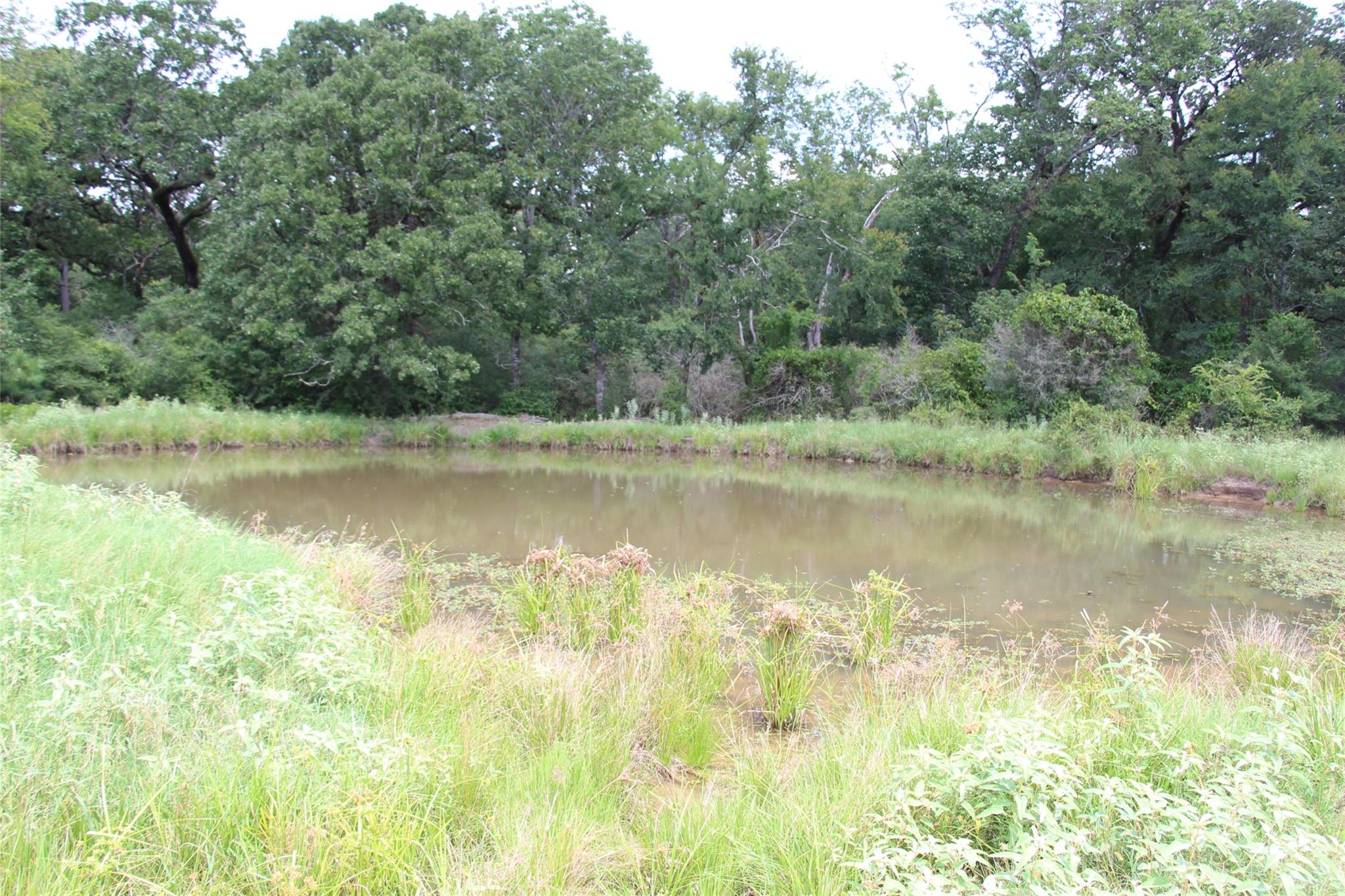 None County Road 3401, Crockett, TX 75851