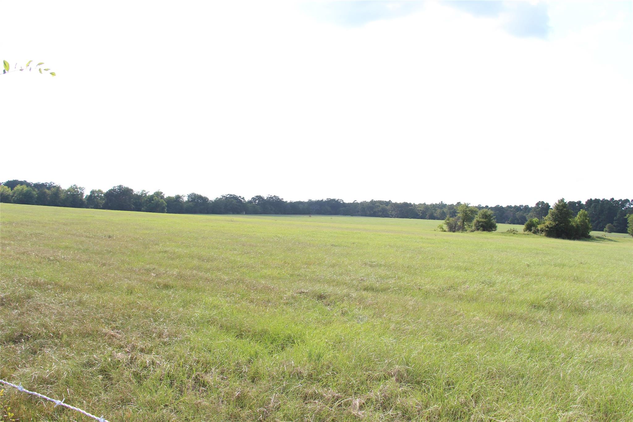 None County Road 3401, Crockett, TX 75851