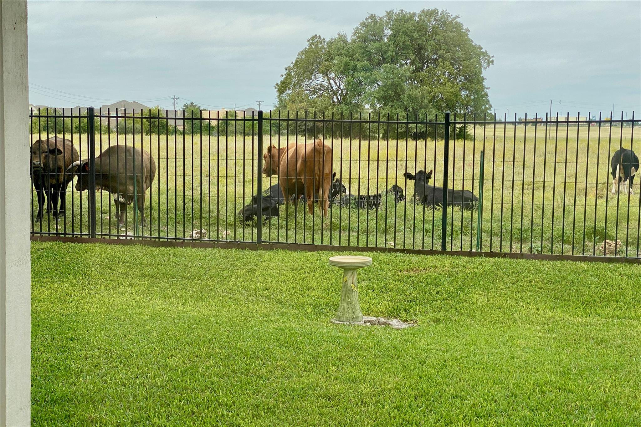 7817 Little Deer Trl, Georgetown, TX 78628