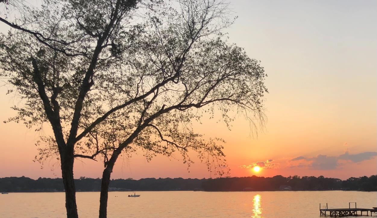 TBD Timber Grove, Murchison, TX 75778