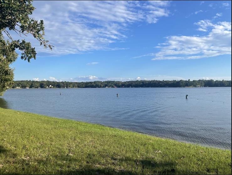 TBD Timber Grove, Murchison, TX 75778