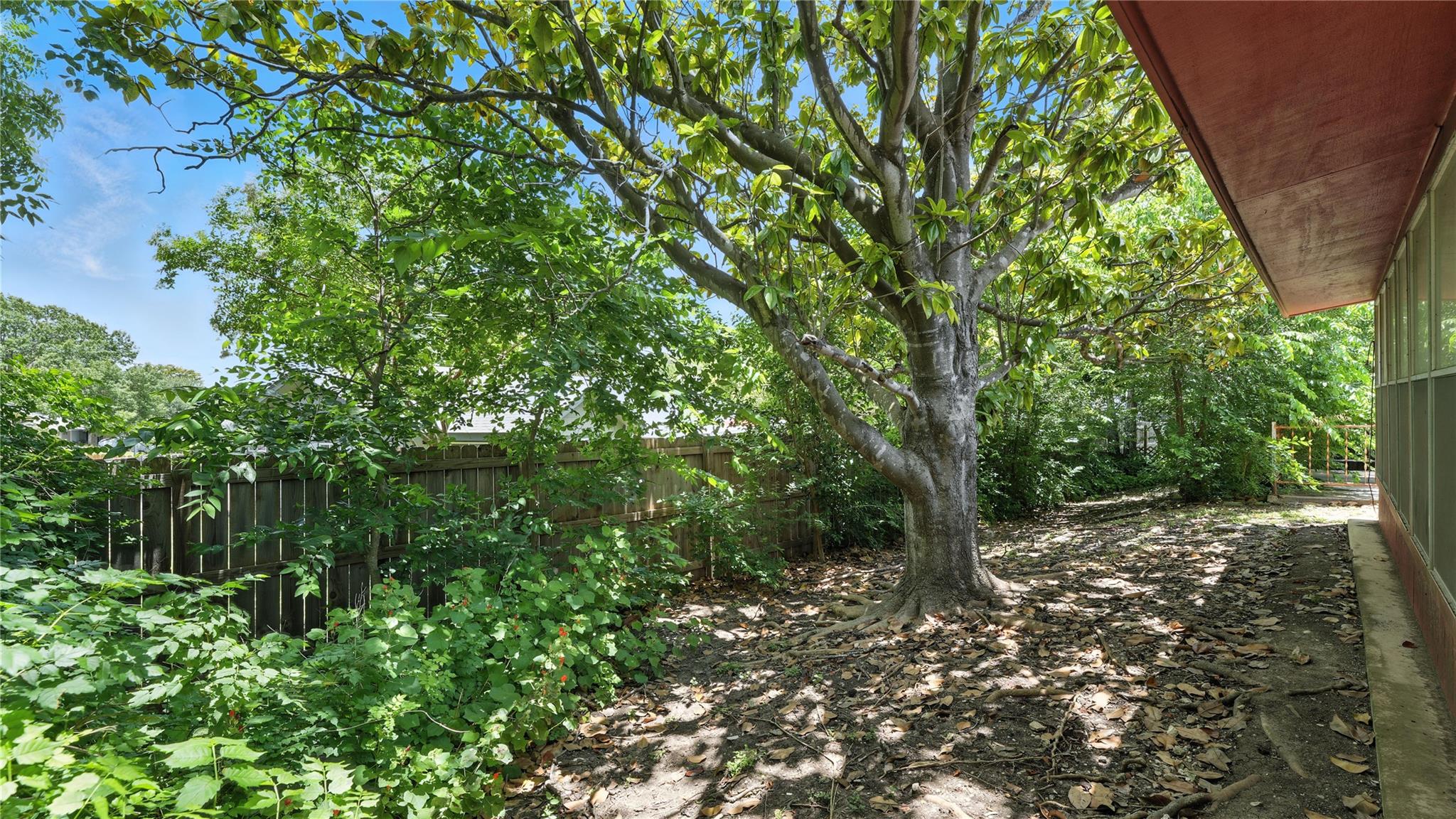 11408 Golden Oak Trl, Live Oak, TX 78233