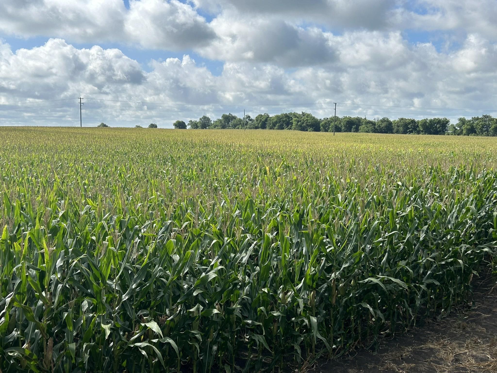 TBD Apple Cider Rd, Temple, TX 76501