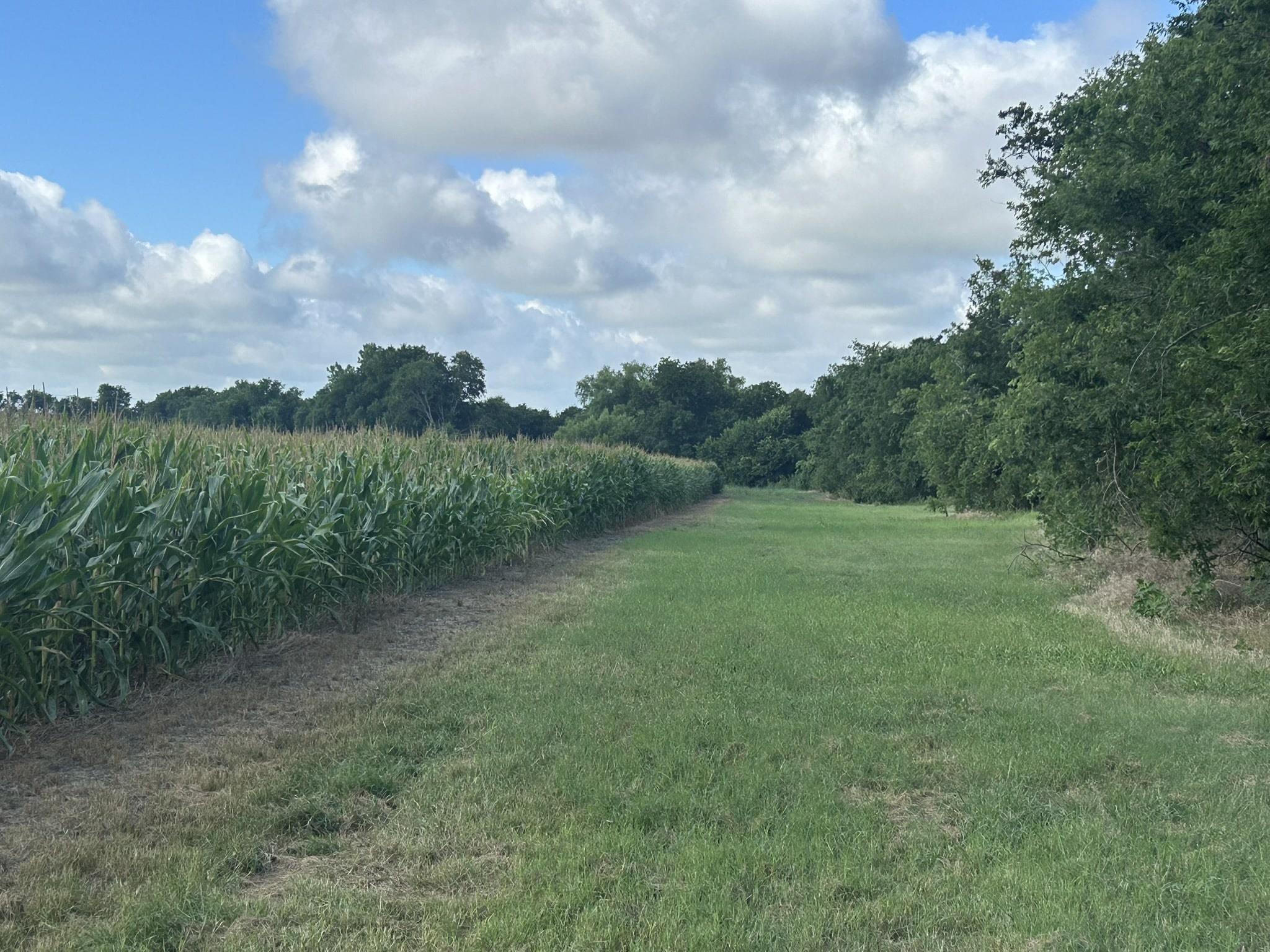 TBD Apple Cider Rd, Temple, TX 76501