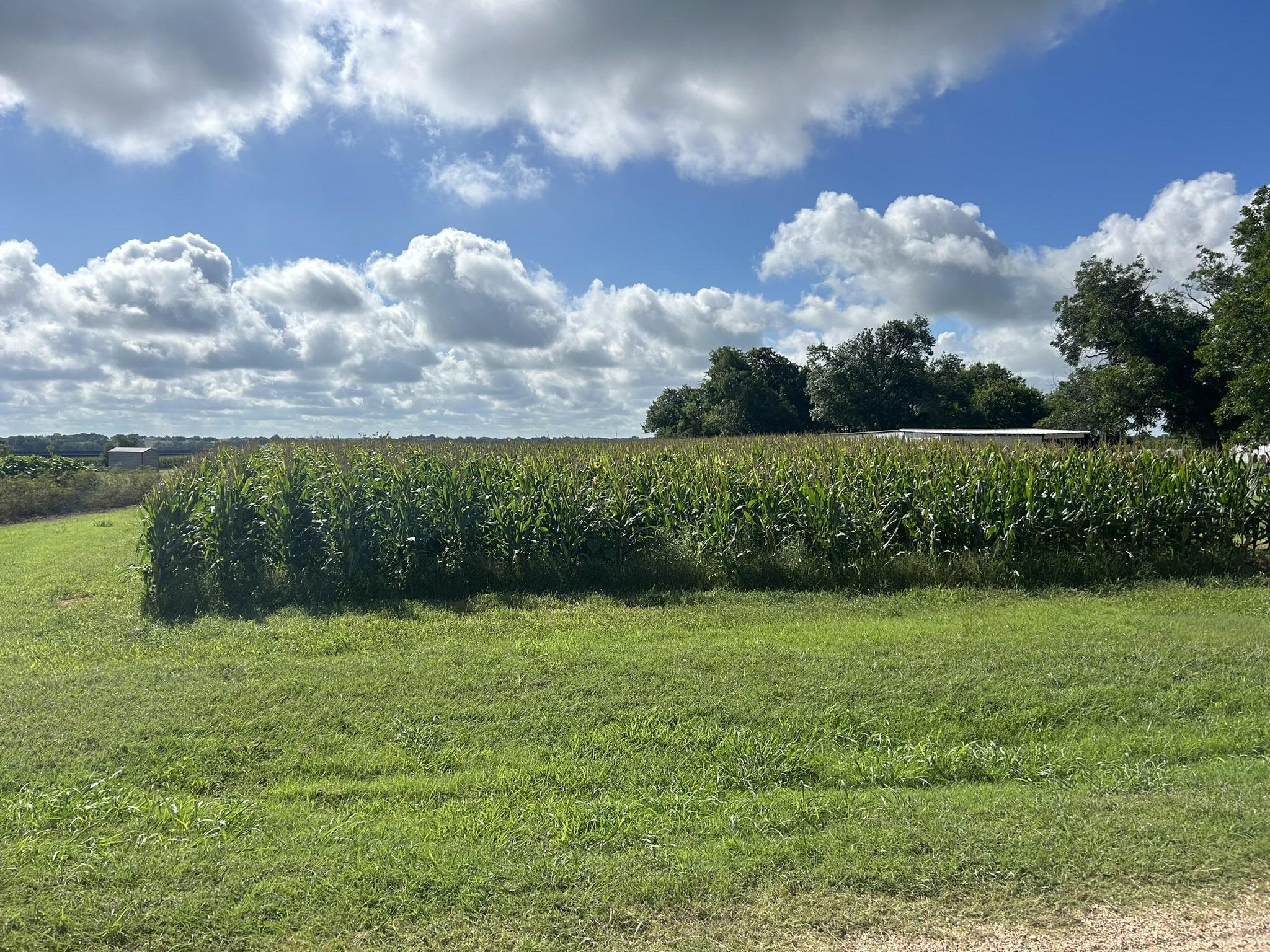 TBD Apple Cider Rd, Temple, TX 76501
