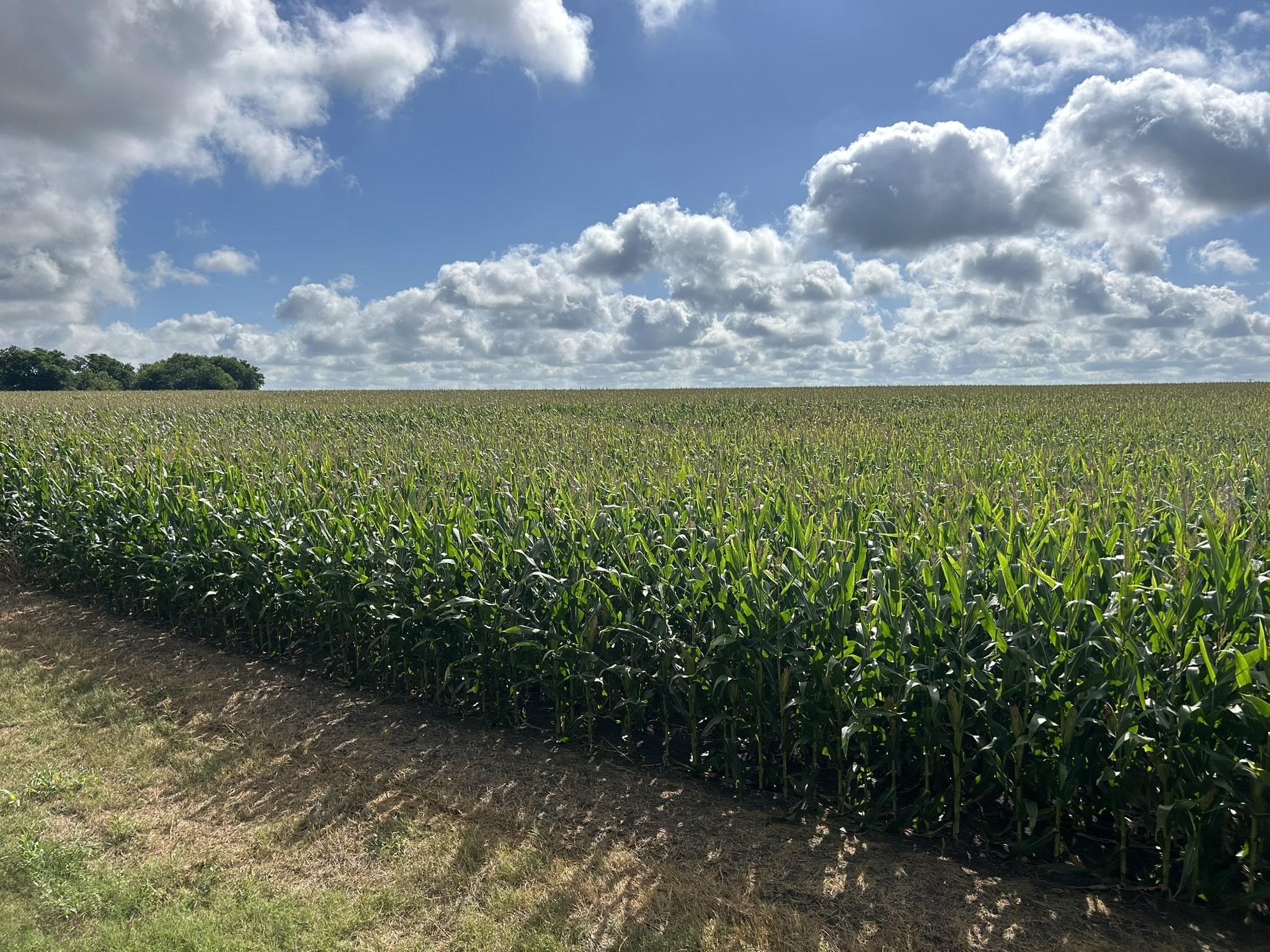 TBD Apple Cider Rd, Temple, TX 76501