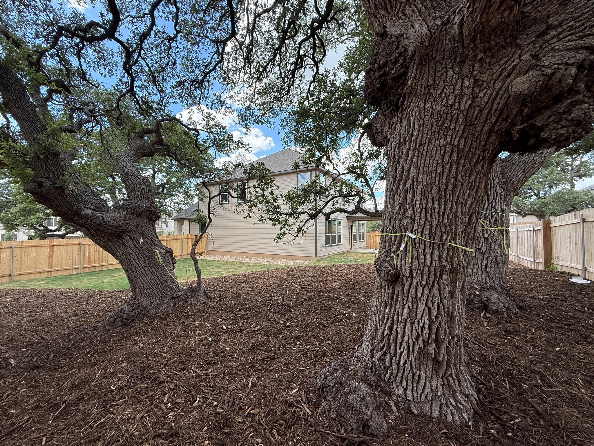 1644 River Plateau Dr, Leander, TX 78641