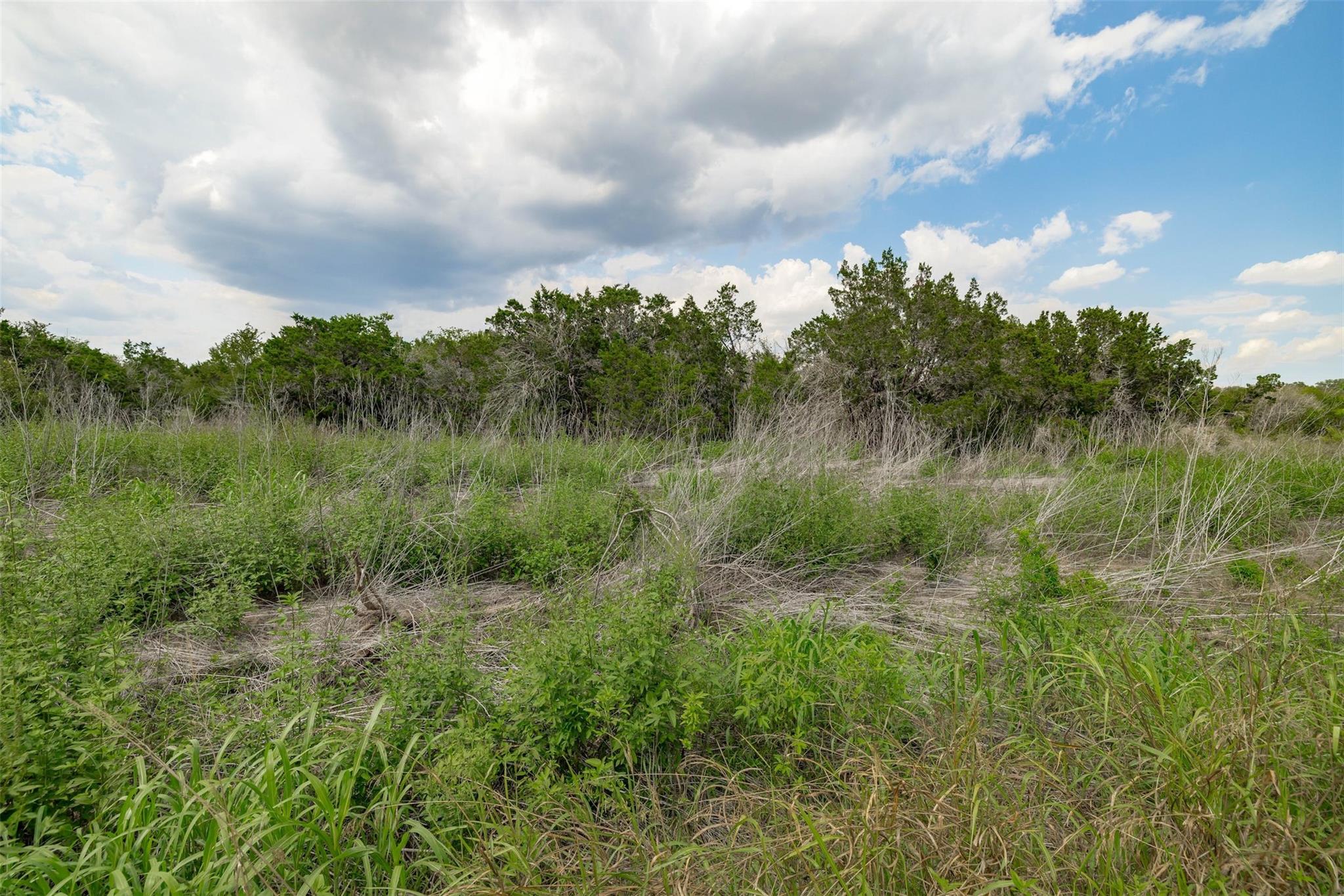 259-266 County Road/Seward Junction Loop SE Rd, Liberty Hill, TX 78642