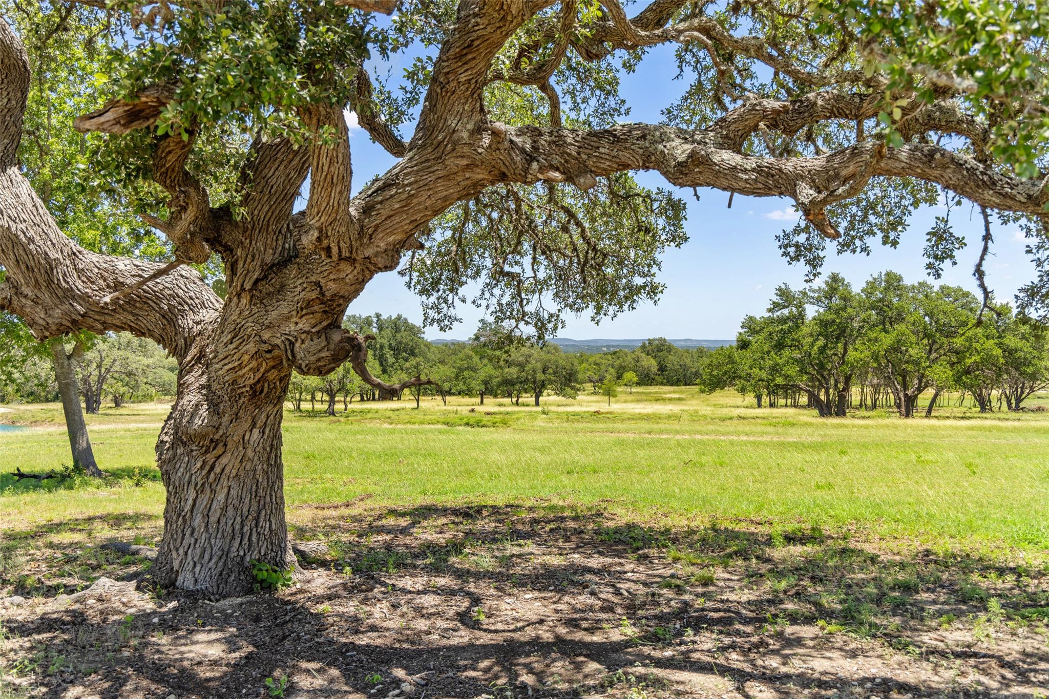 938 Lindeman Lane Tract 3, Blanco, TX 78606