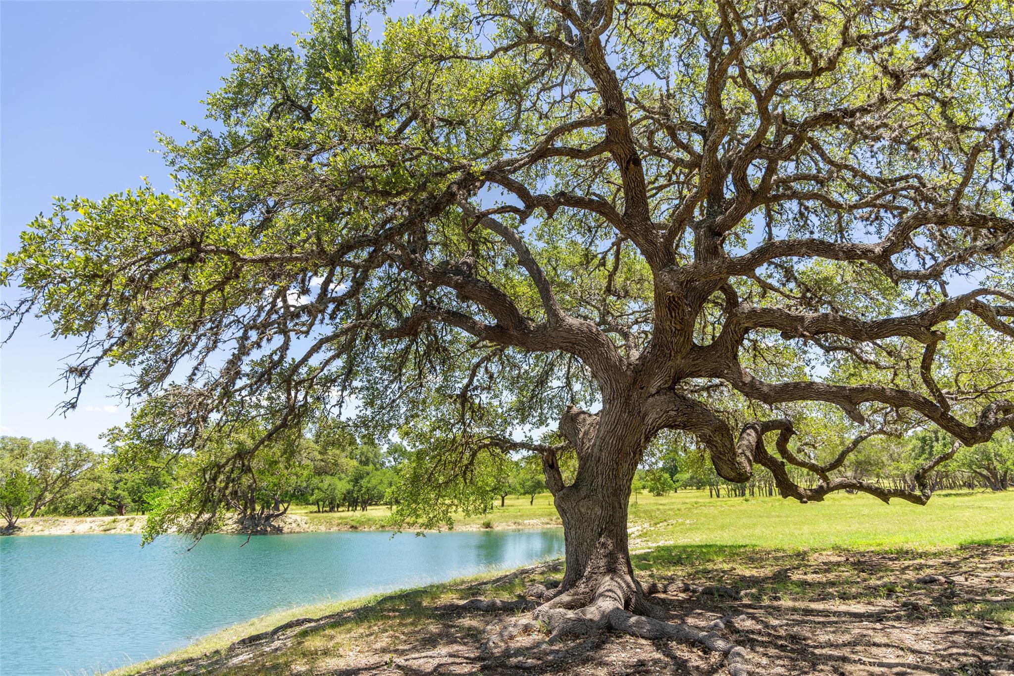 938 Lindeman Lane Tract 3, Blanco, TX 78606