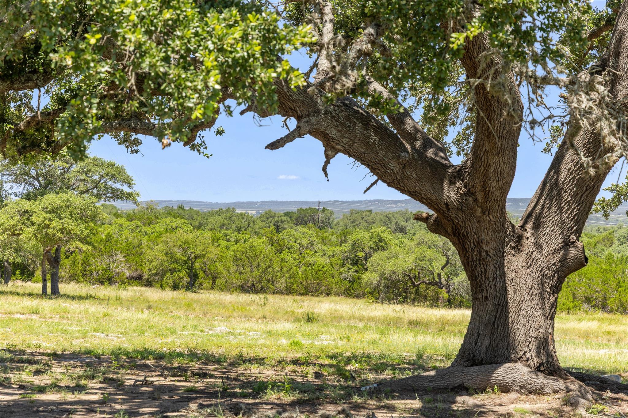 938 Lindeman Lane Tract 3, Blanco, TX 78606