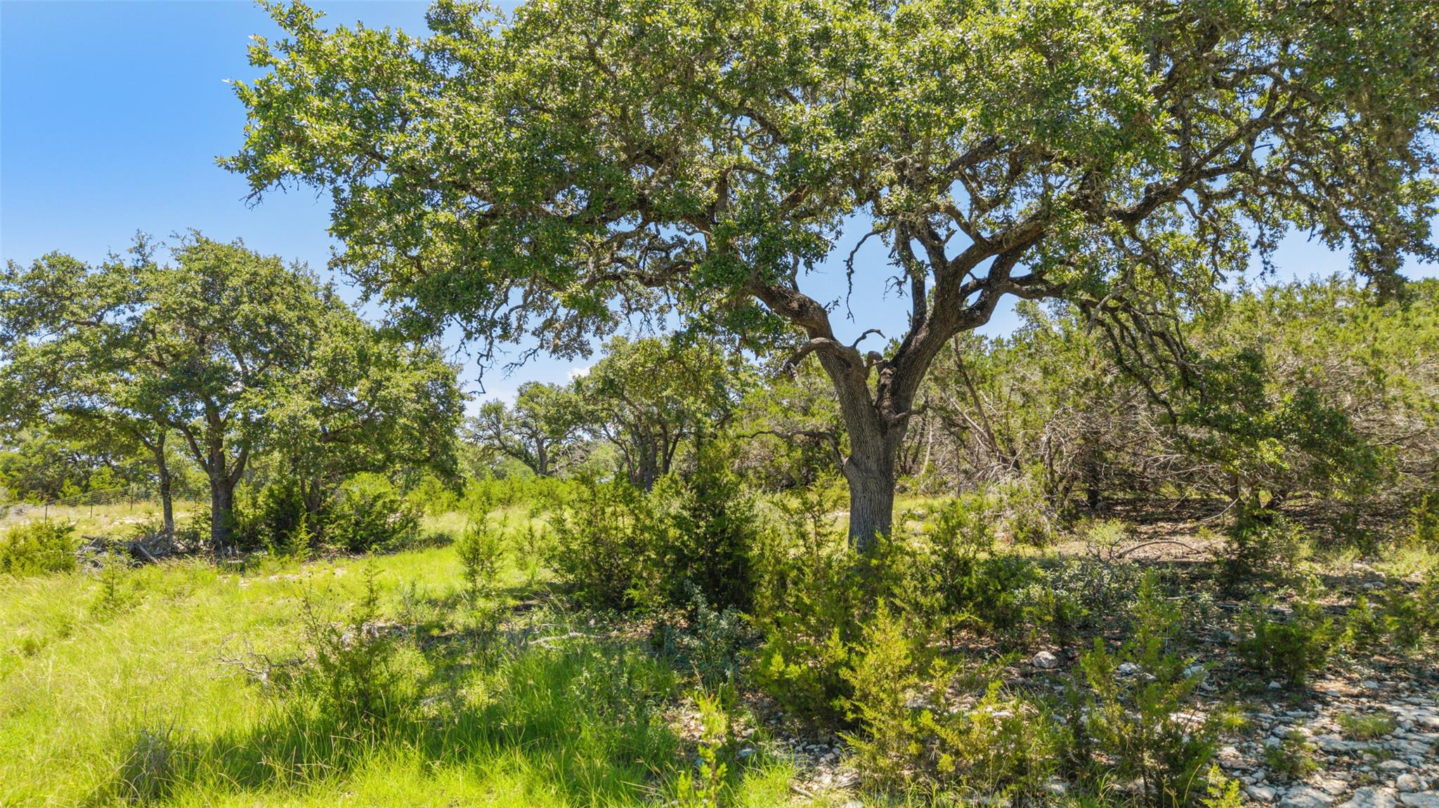 938 Lindeman Lane Tract 3, Blanco, TX 78606