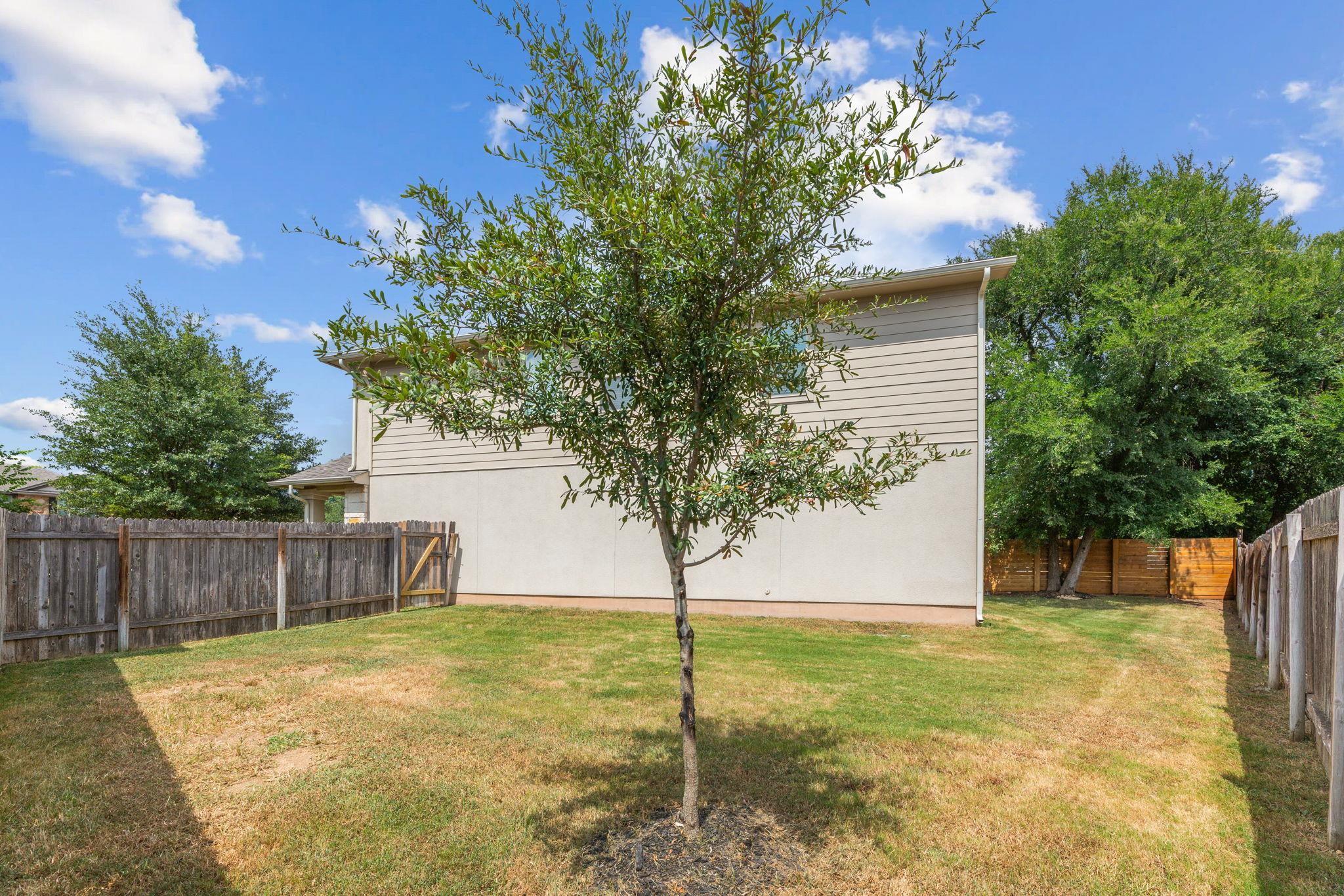 109 Camden Cv, Buda, TX 78610