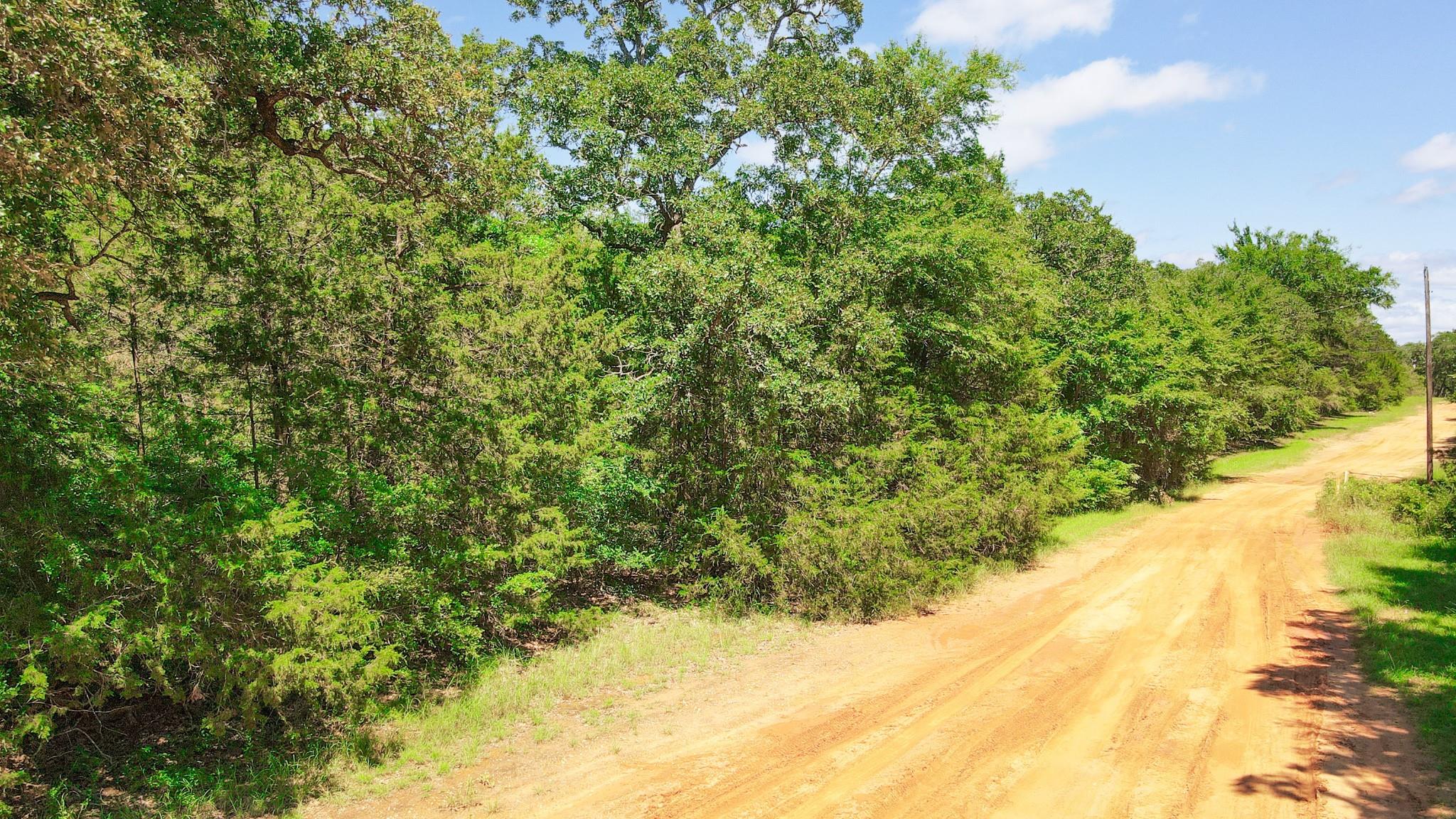 TBD (+/- 2.5 Acres) Cedar Creek, Caldwell, TX 77836