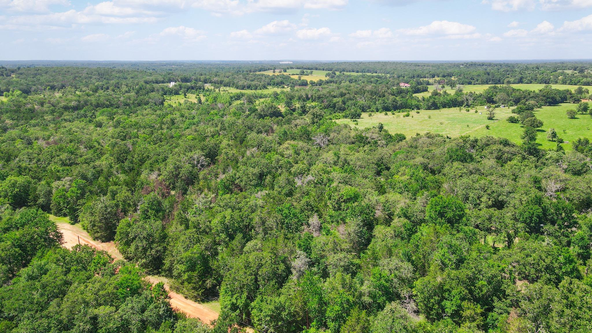 TBD (+/- 2.5 Acres) Cedar Creek, Caldwell, TX 77836