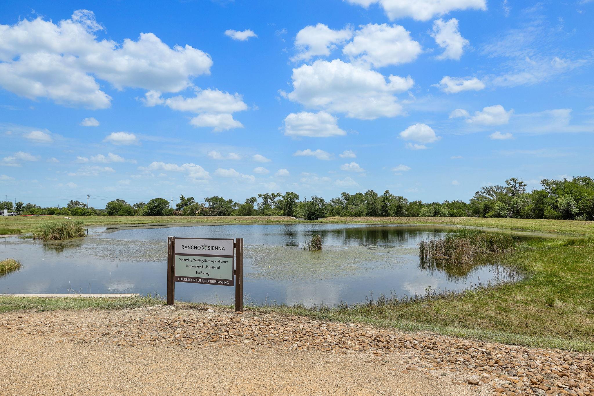 211 Volterra Cv, Georgetown, TX 78628