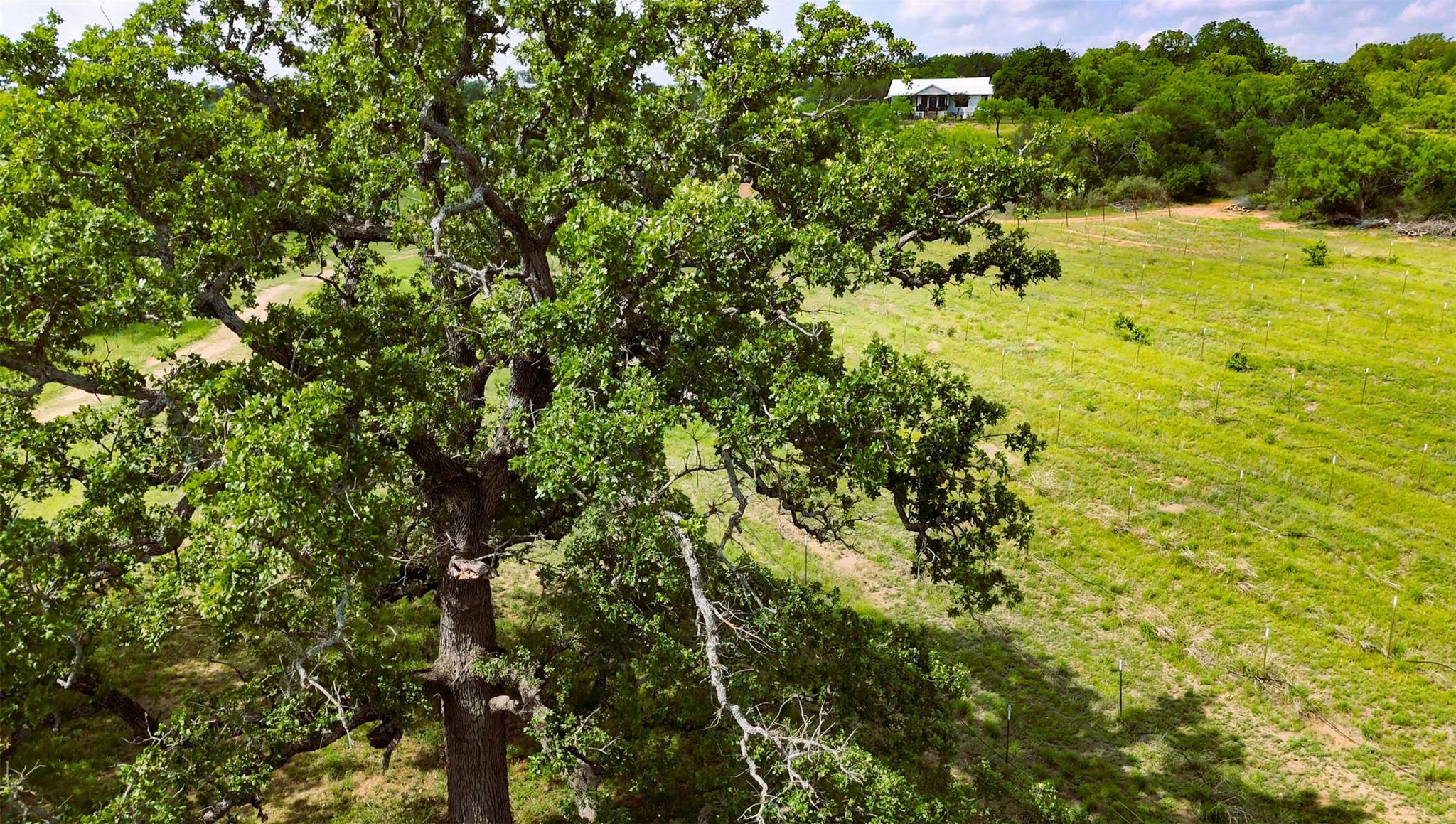 171 County Road 117 Rd, Llano, TX 78643