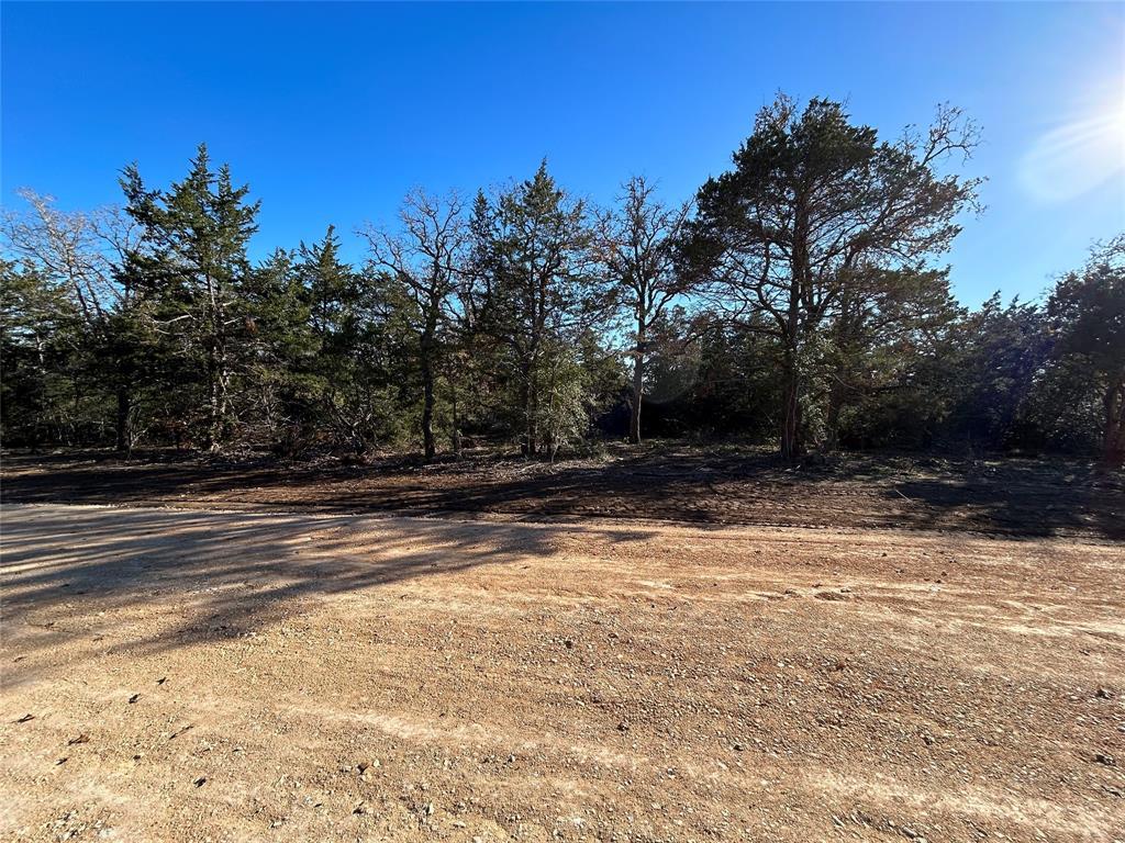 119 C Milam Ln, Cedar Creek, TX 78602