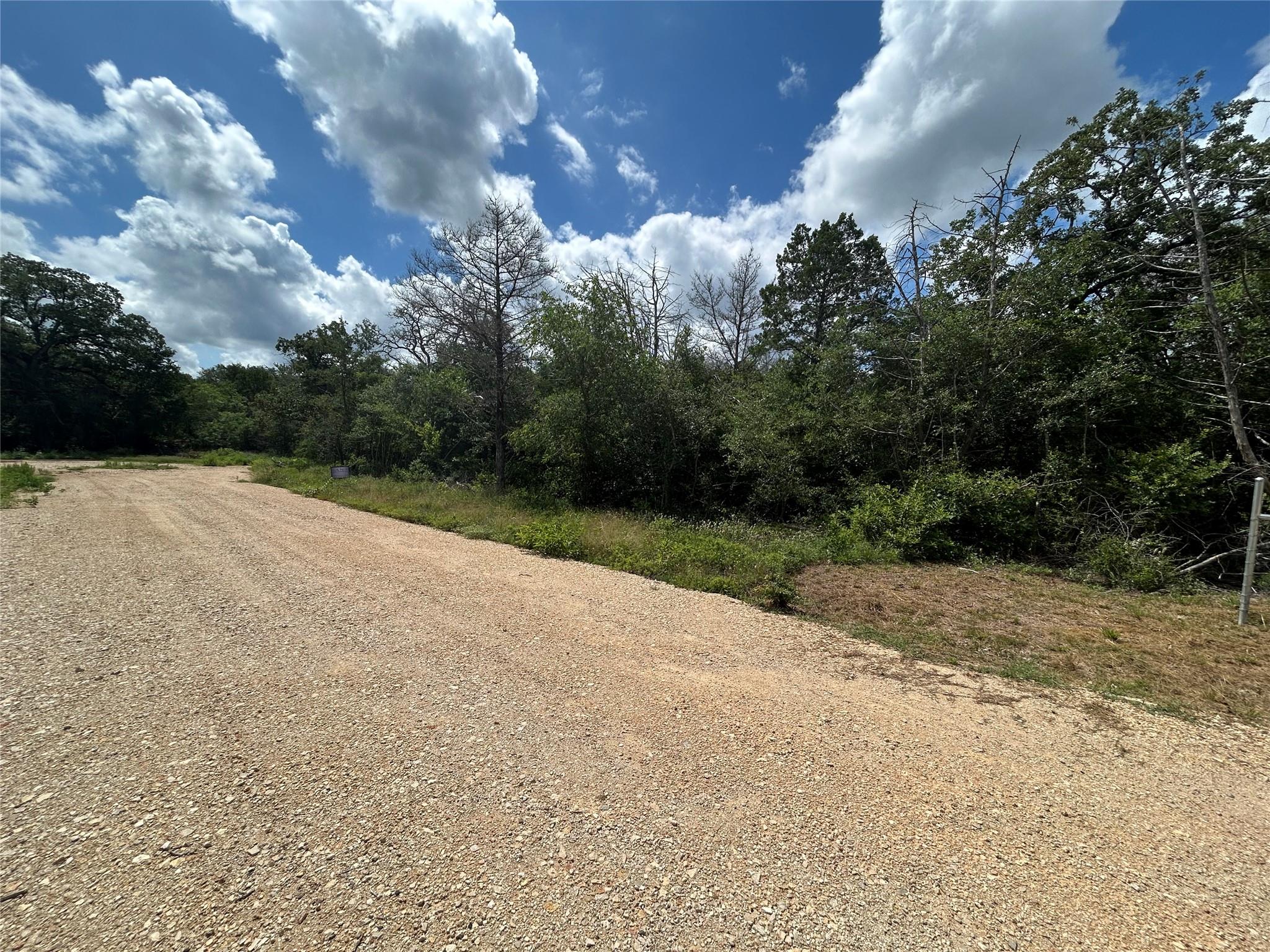 119 C Milam Ln, Cedar Creek, TX 78602