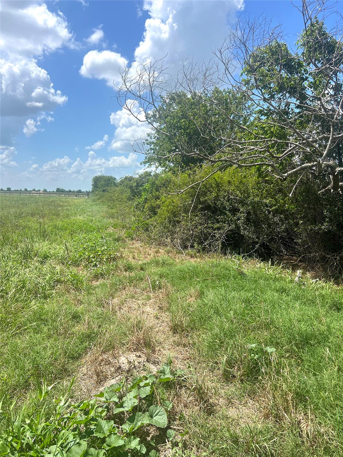 1359 McDonald Rd Rd, Eagle Lake, TX 77434