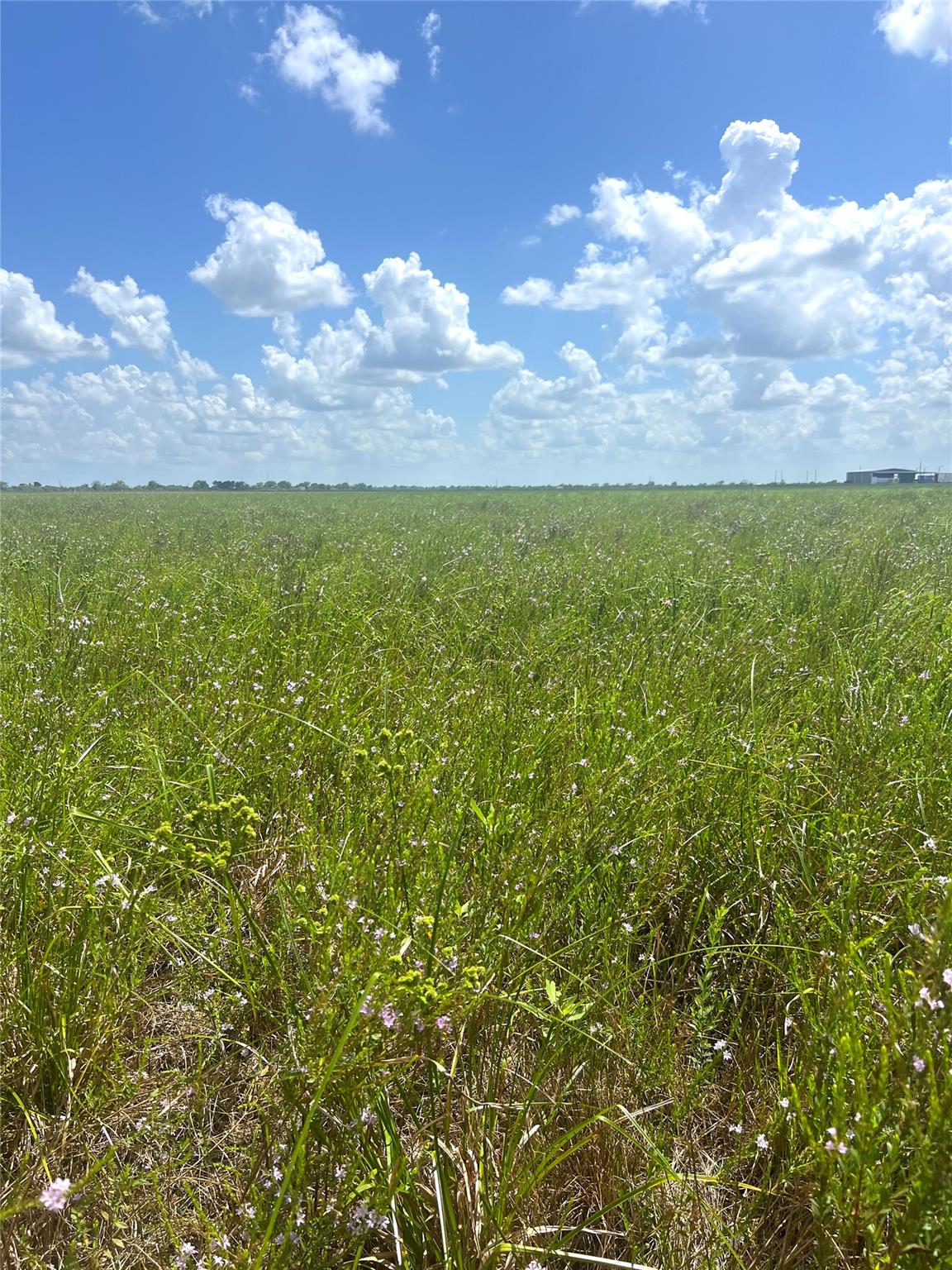 1359 McDonald Rd Rd, Eagle Lake, TX 77434