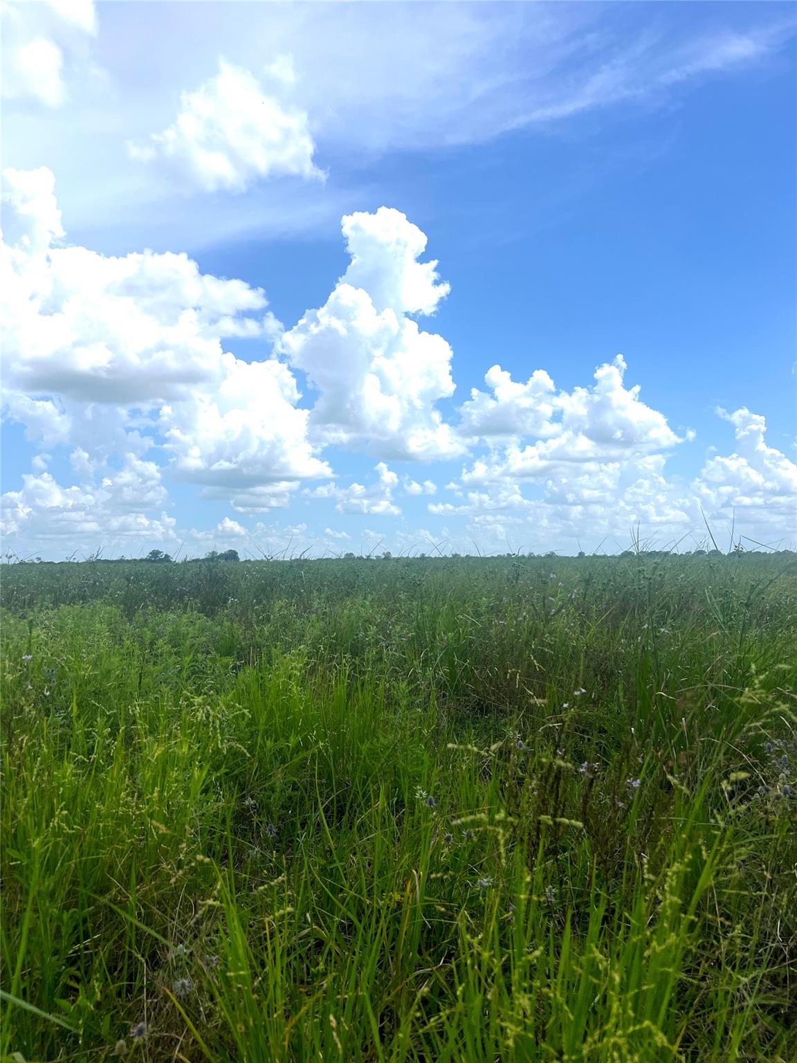1359 McDonald Rd Rd, Eagle Lake, TX 77434