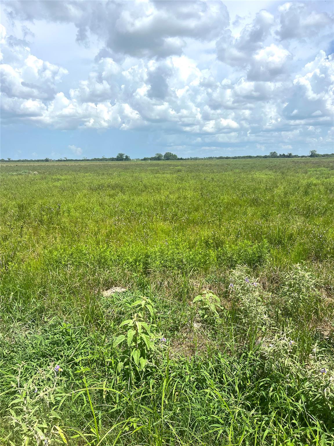 1359 McDonald Rd Rd, Eagle Lake, TX 77434