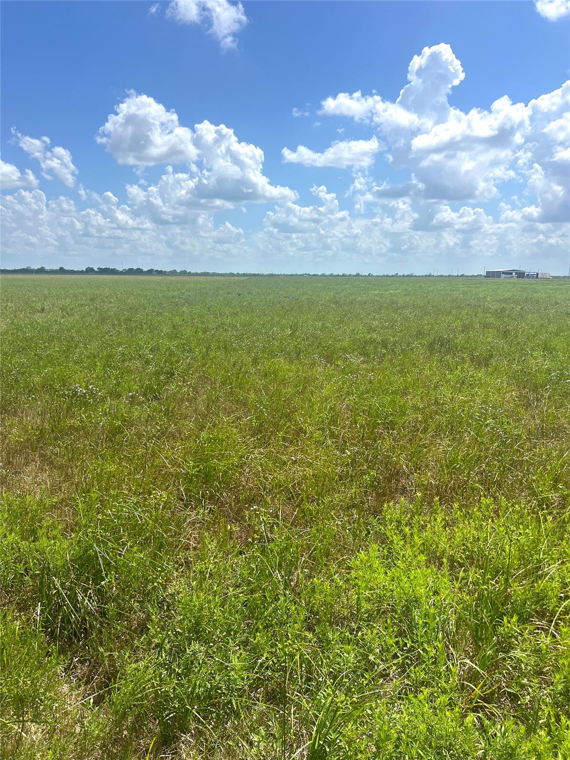 1359 McDonald Rd Rd, Eagle Lake, TX 77434