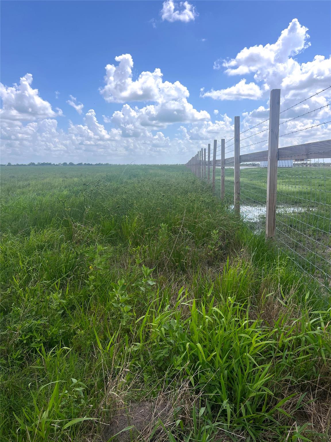 1359 McDonald Rd Rd, Eagle Lake, TX 77434