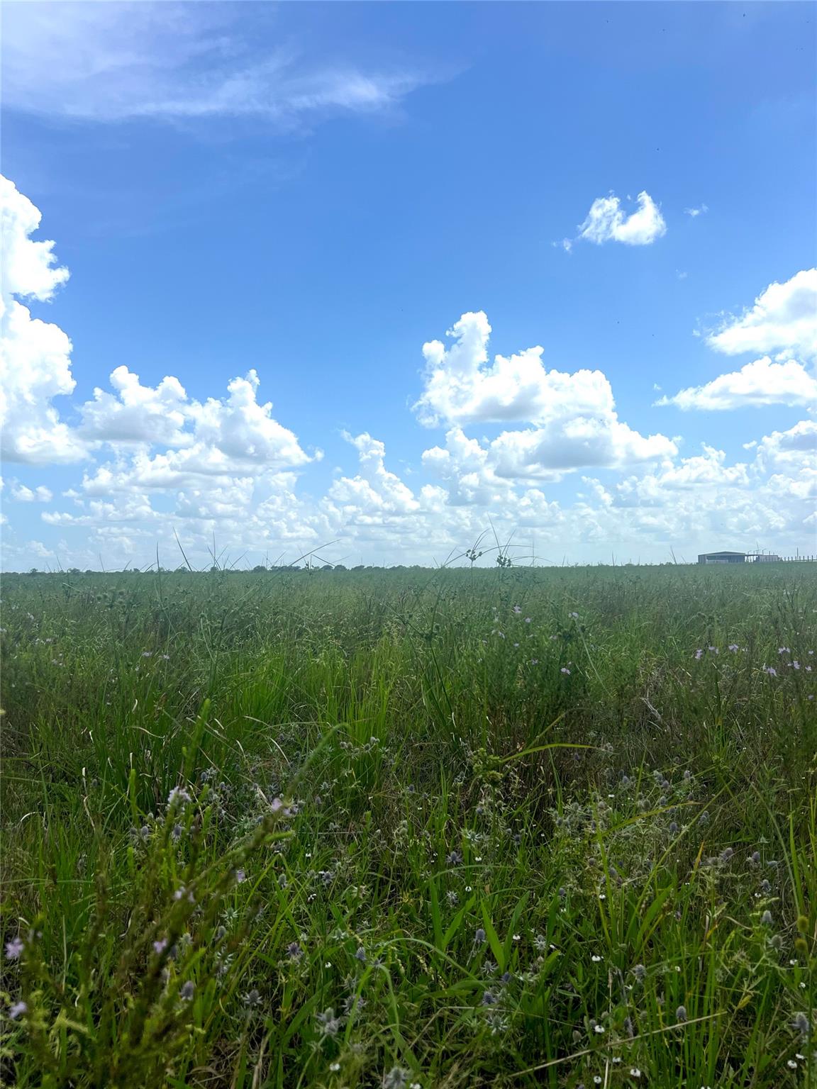 1359 McDonald Rd Rd, Eagle Lake, TX 77434