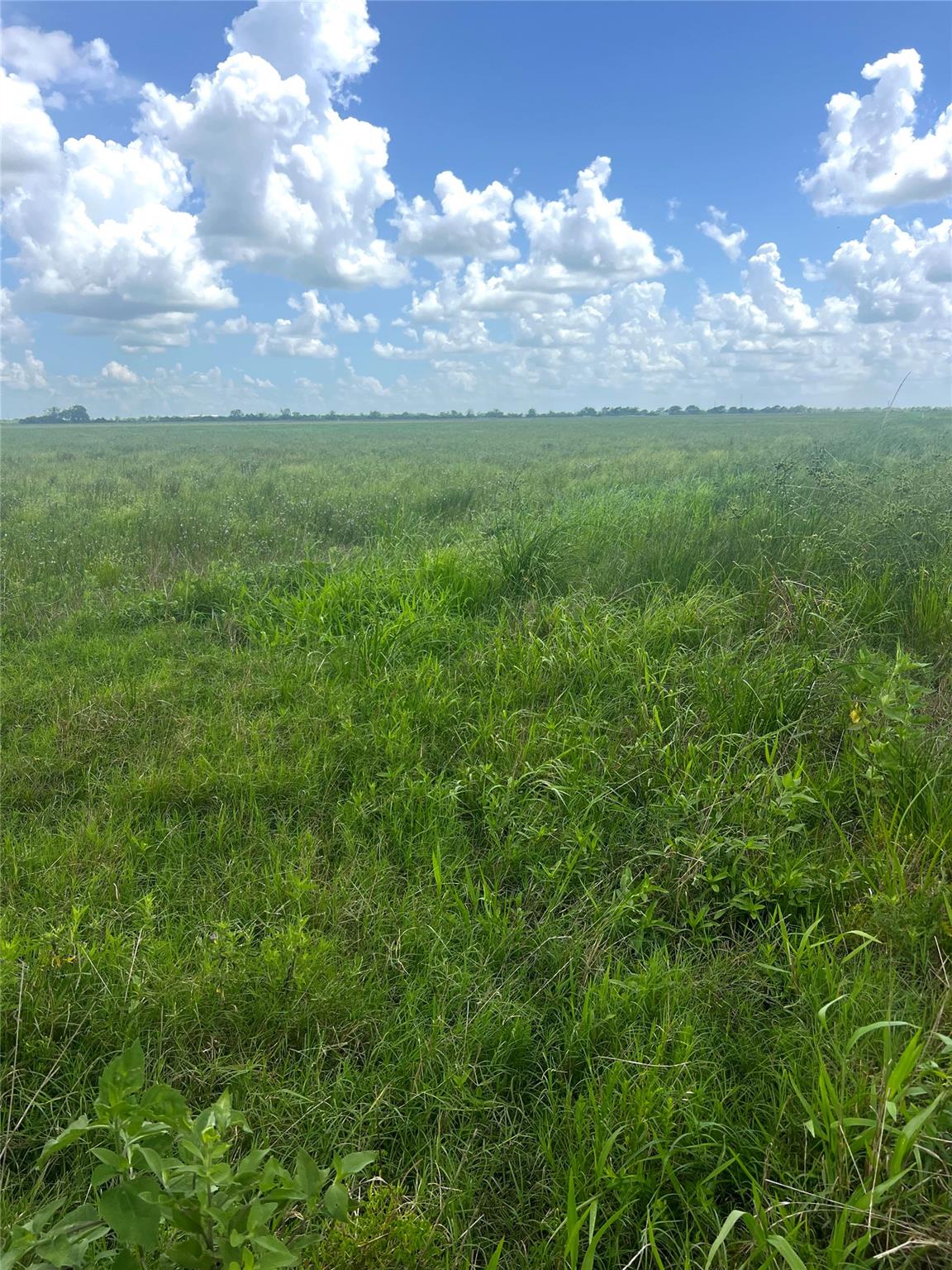 1359 McDonald Rd Rd, Eagle Lake, TX 77434