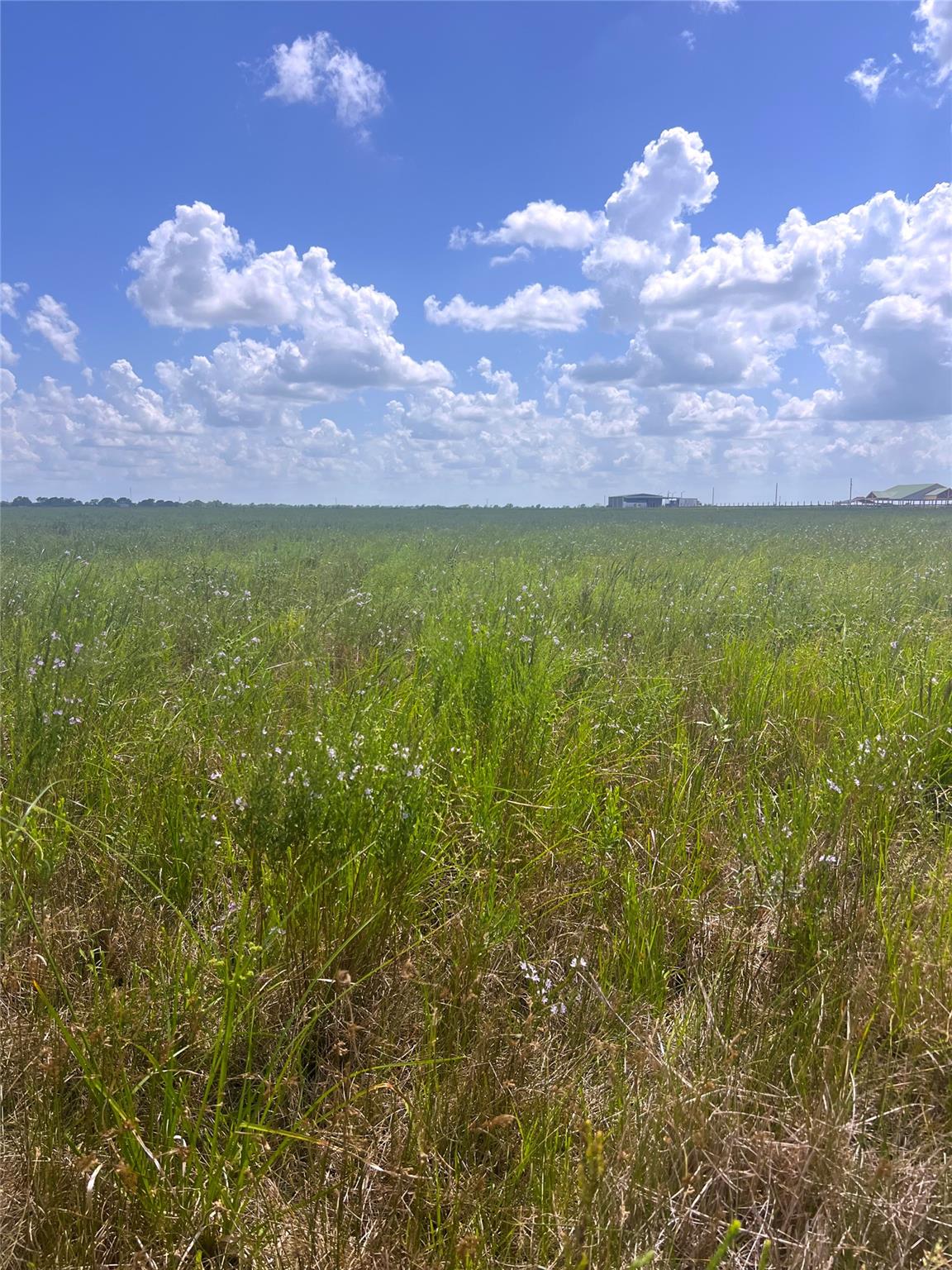 1359 McDonald Rd Rd, Eagle Lake, TX 77434