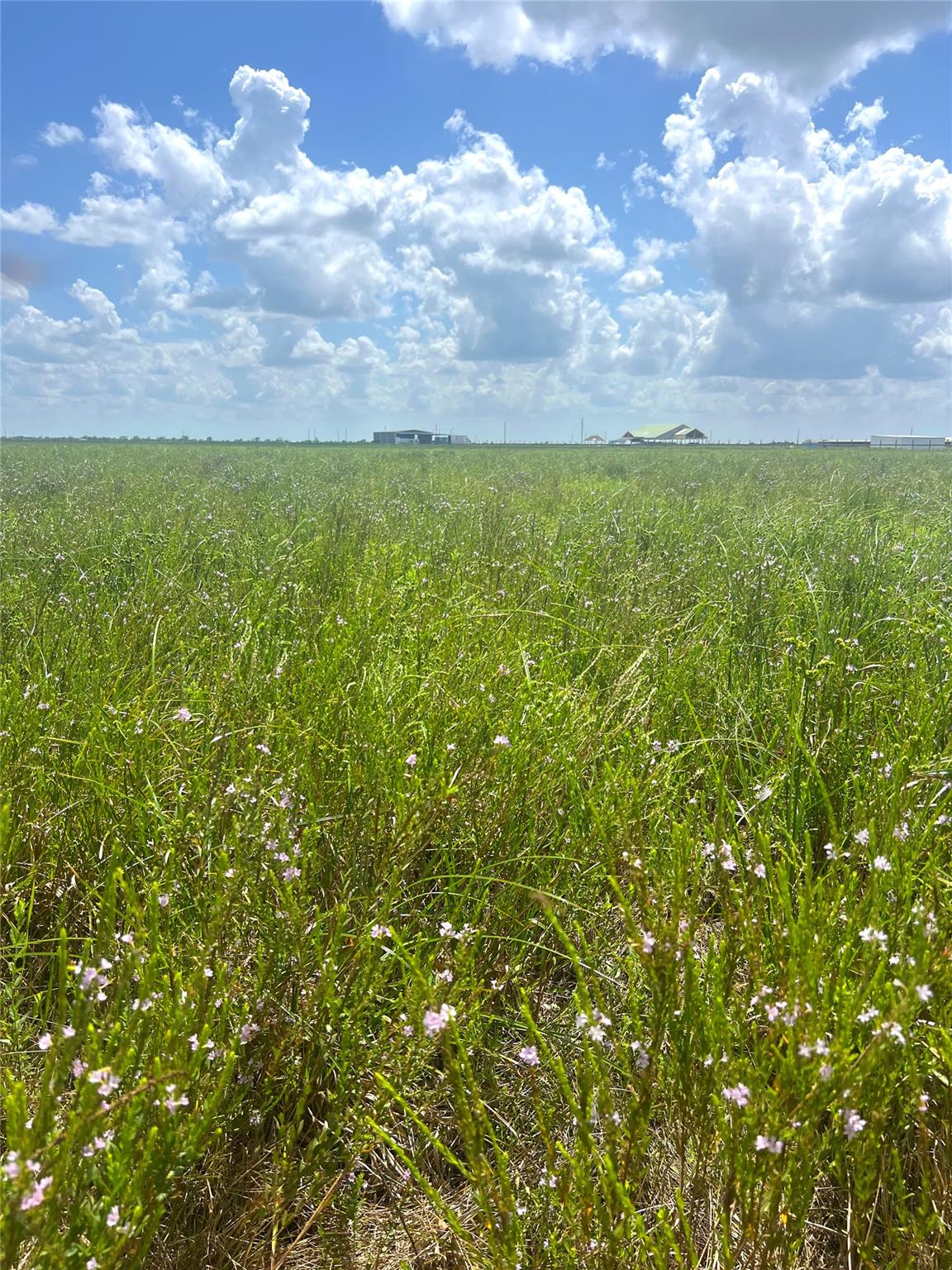 1359 McDonald Rd Rd, Eagle Lake, TX 77434