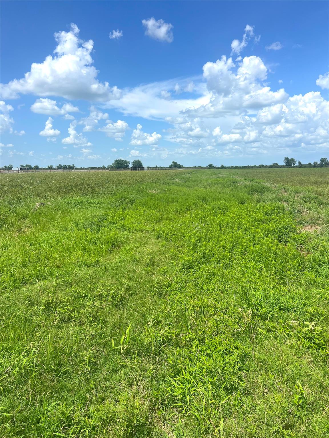 1359 McDonald Rd Rd, Eagle Lake, TX 77434