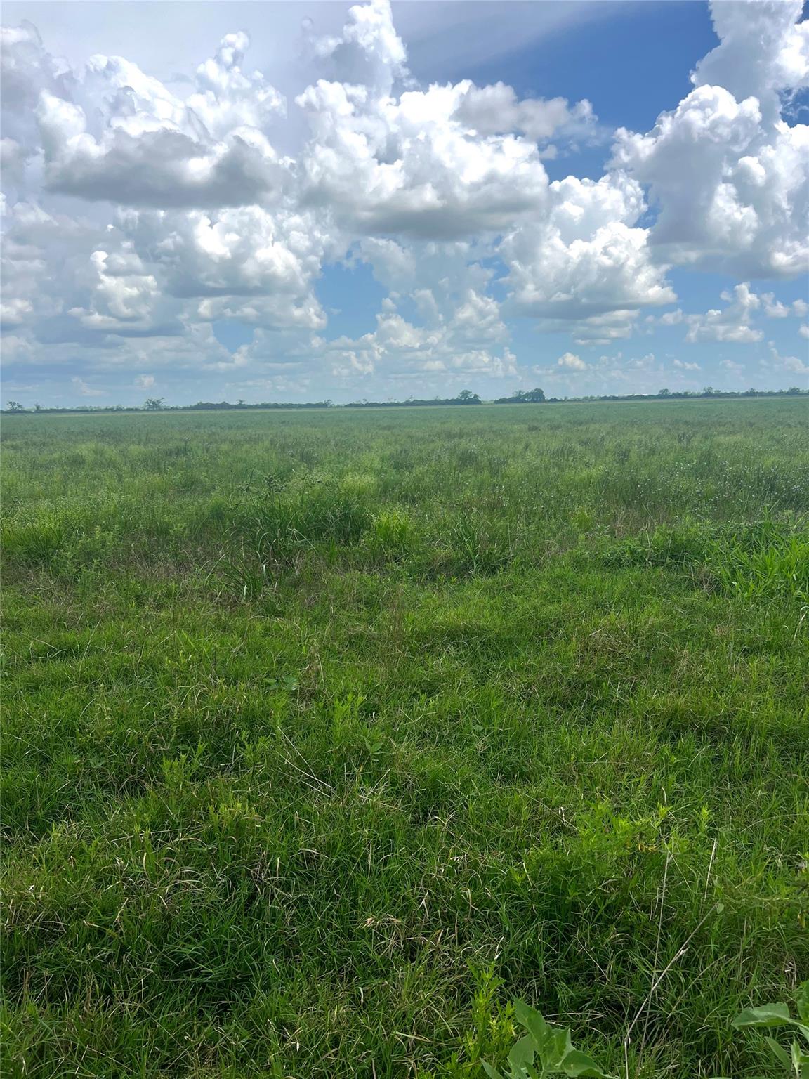 1359 McDonald Rd Rd, Eagle Lake, TX 77434