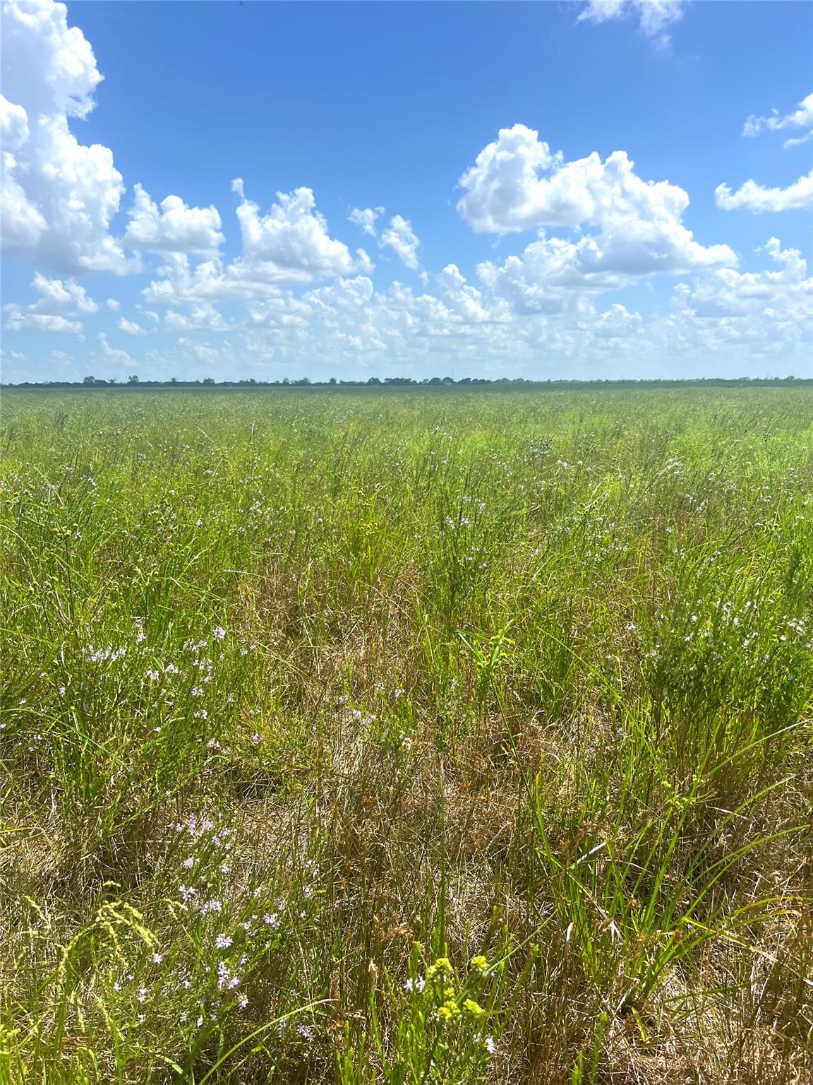 1359 McDonald Rd Rd, Eagle Lake, TX 77434