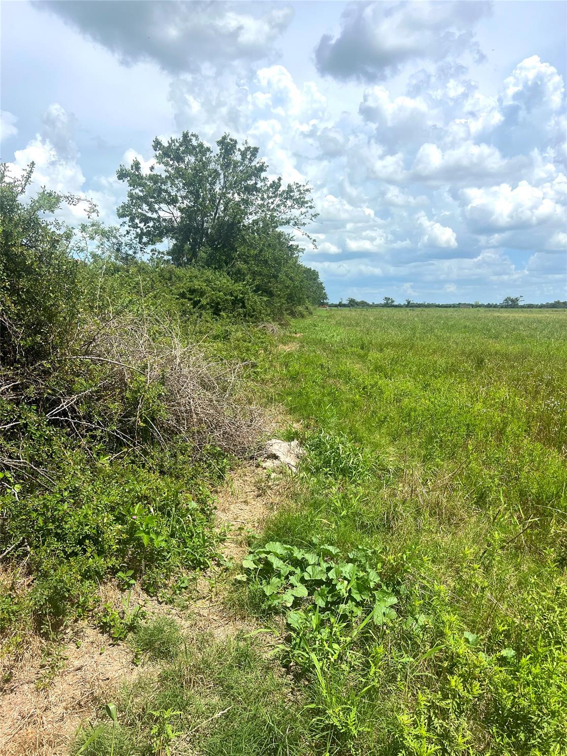 1359 McDonald Rd Rd, Eagle Lake, TX 77434
