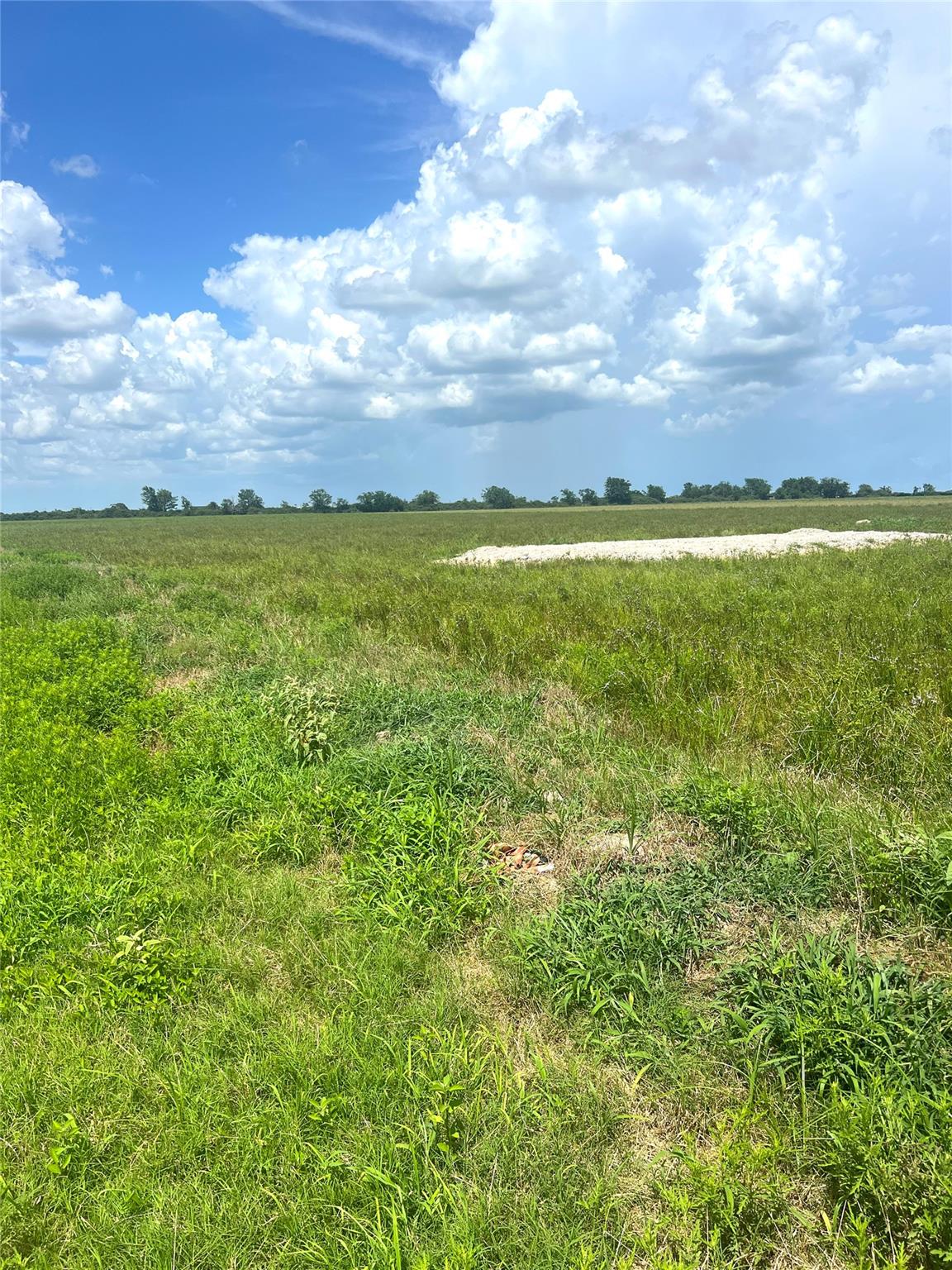 1359 McDonald Rd Rd, Eagle Lake, TX 77434