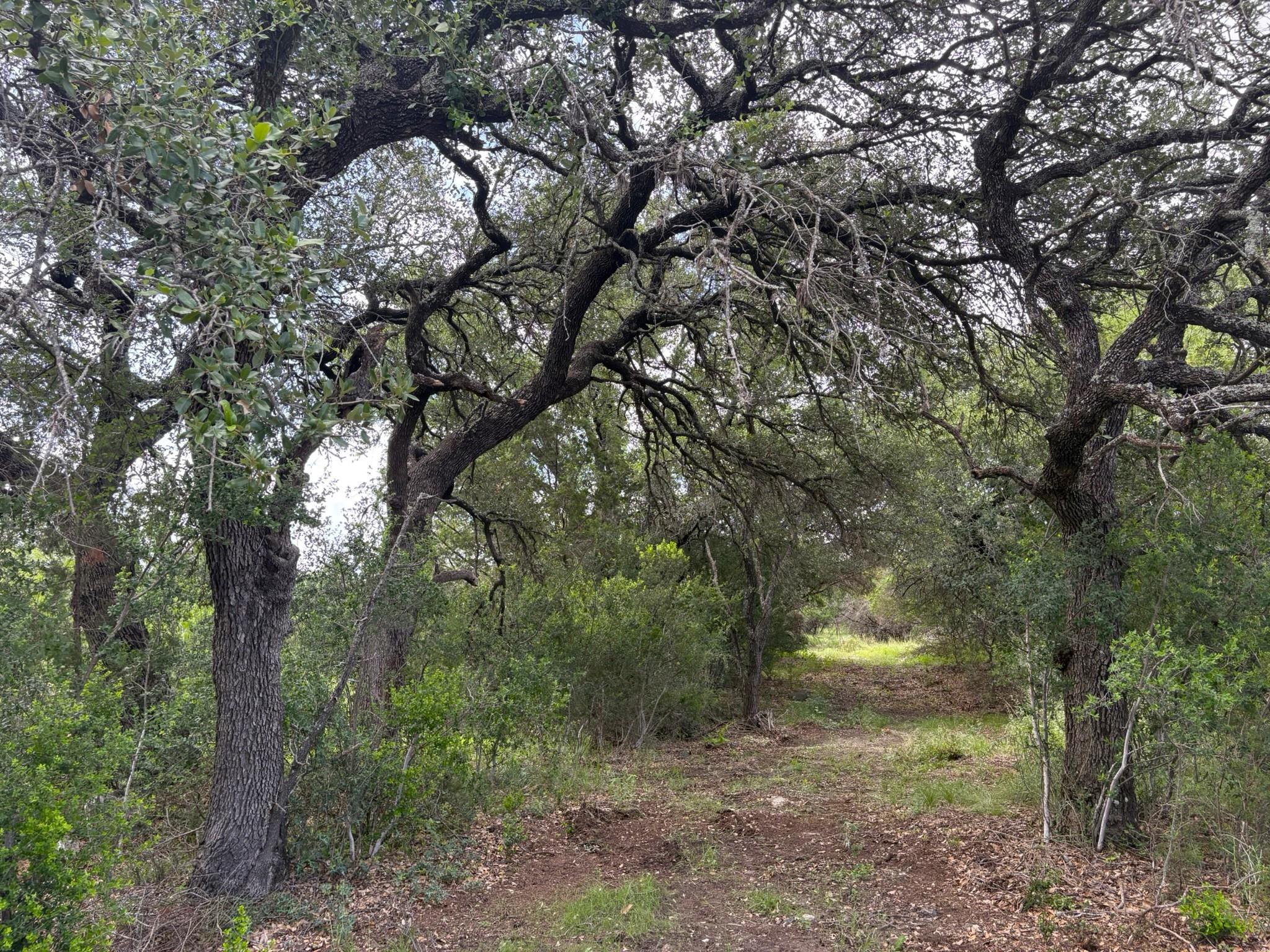 380 Sandy Mountain, Sunrise Beach, TX 78643